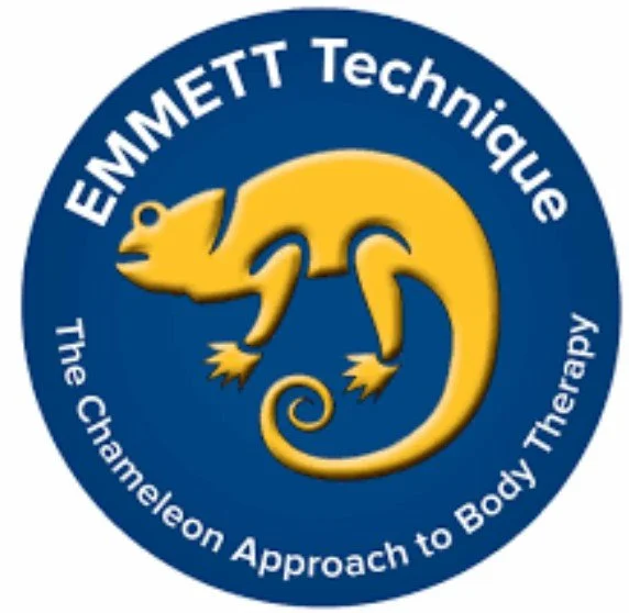 Certified EMMETT Technique Practitioner, Queensland Australia