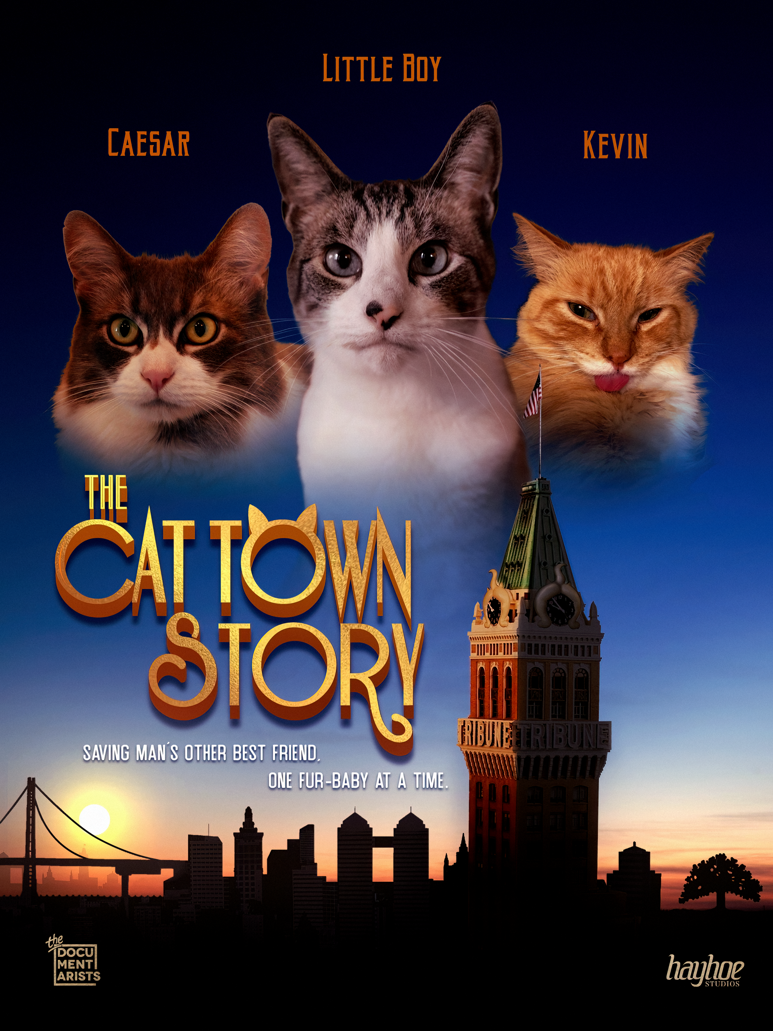 The Cat Town Story