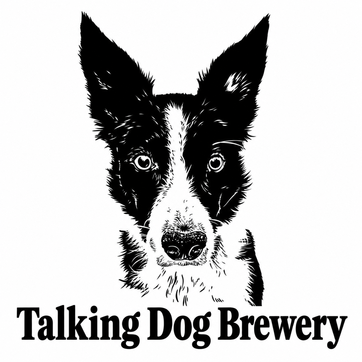 A black and white illustration of a dog's face, likely a Border Collie, with the text "Talking Dog Brewery" below.
