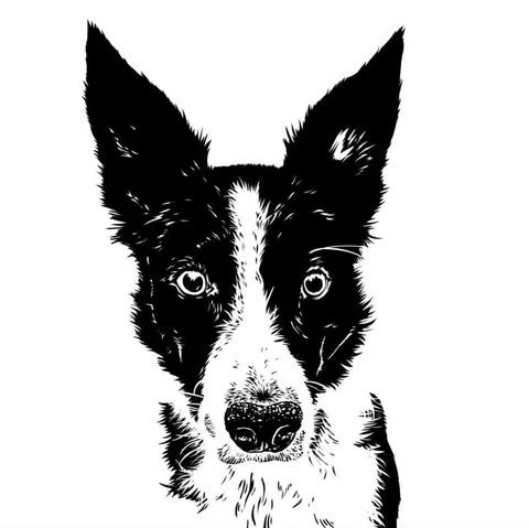 Black and white line drawing of a dog with large ears and focused eyes.