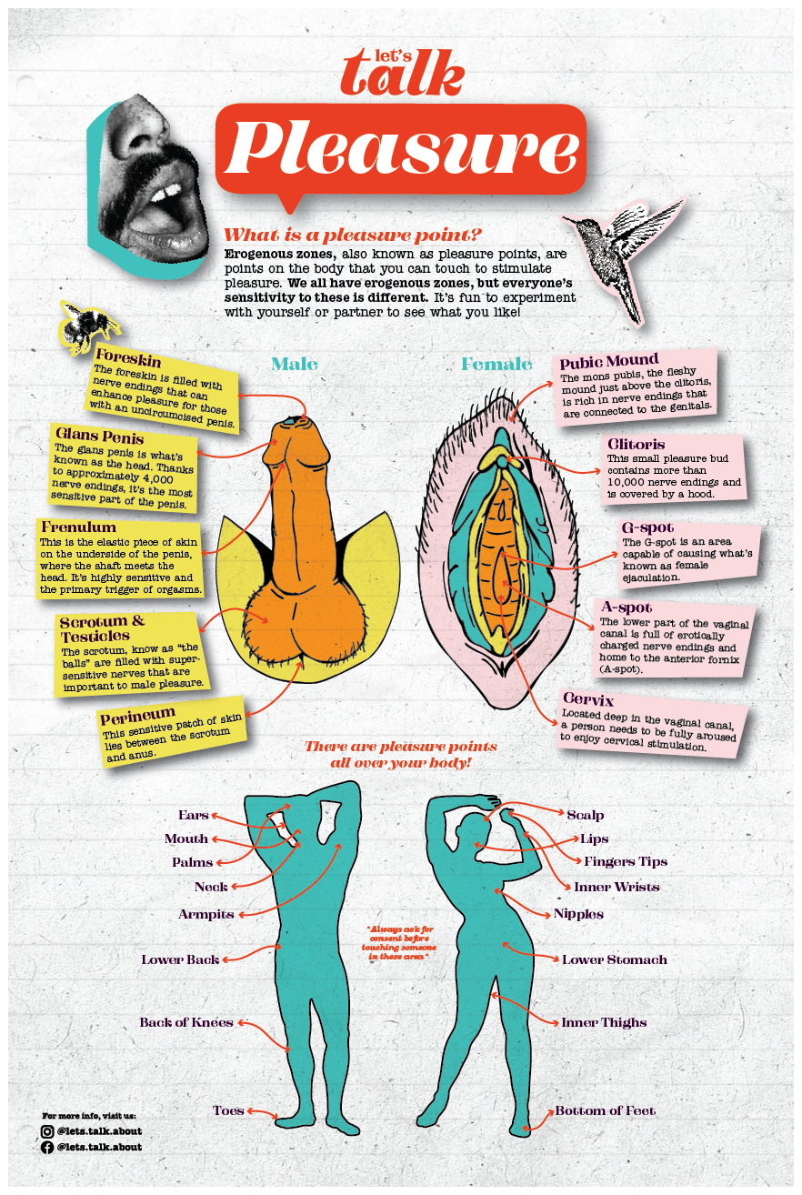 Let's Talk Pleasure - Kids today are not taught about sexual pleasure, rather it's eluded to and only learned from "experience". Many people are unaware of their own anatomy, so teaching about each part can be extremely helpful for people who may not