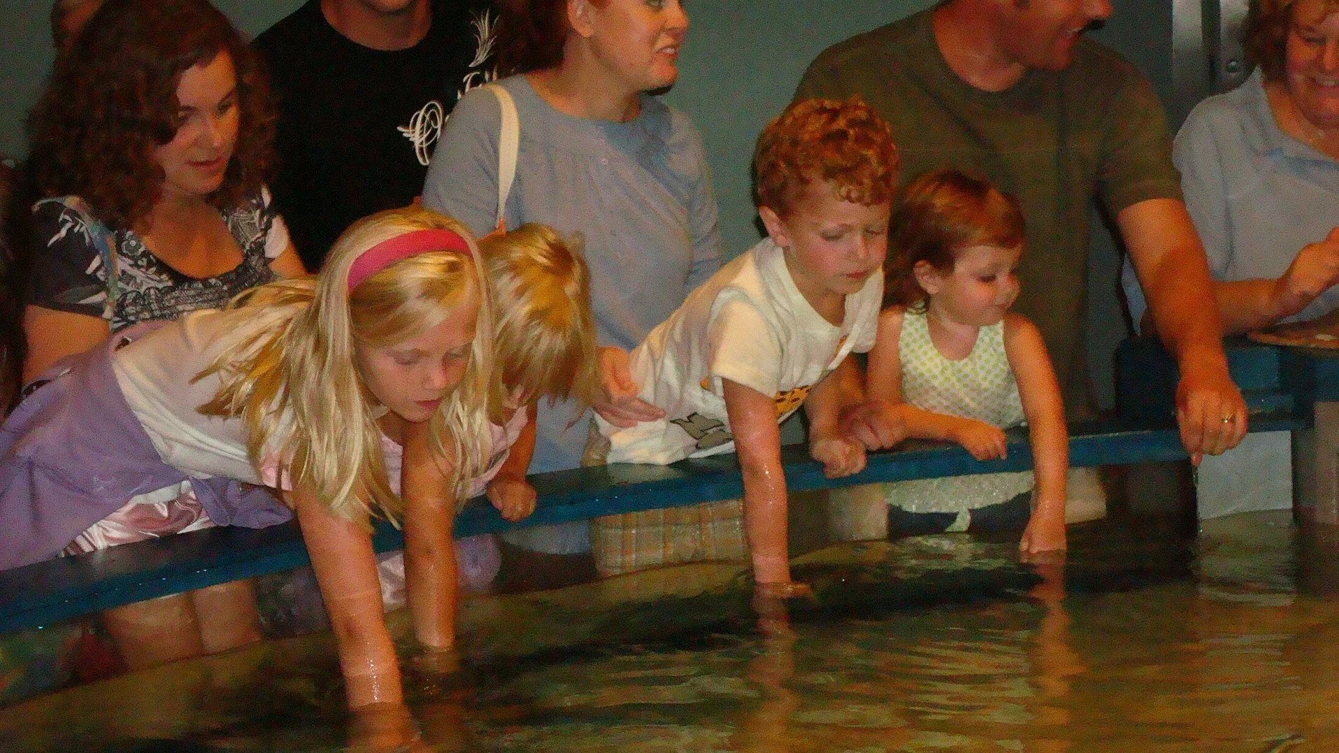 NC Aquarium 2008
