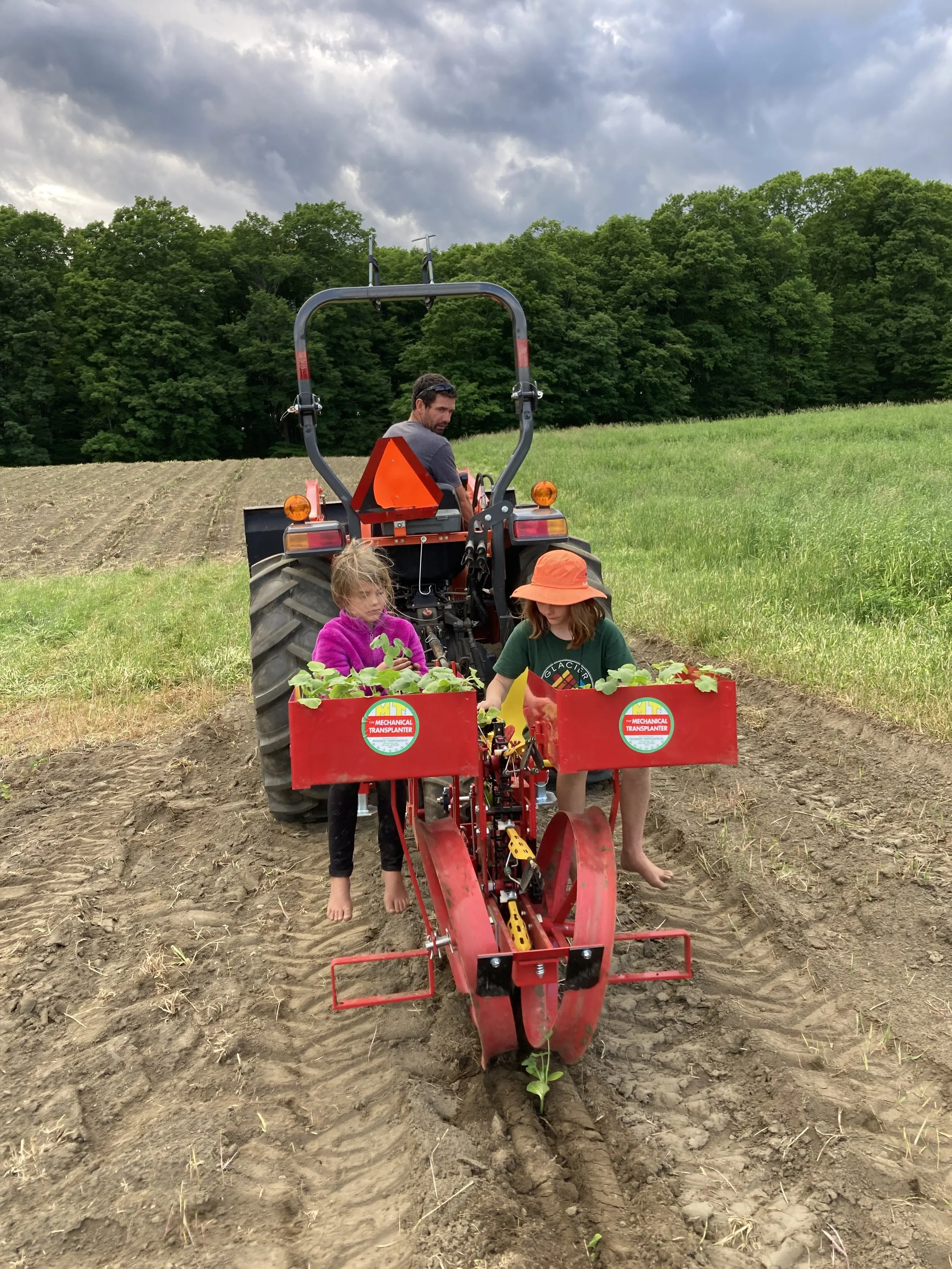 Children and an adult planting a small tree in a field with a tractor, surrounded by green trees and a cloudy sky.