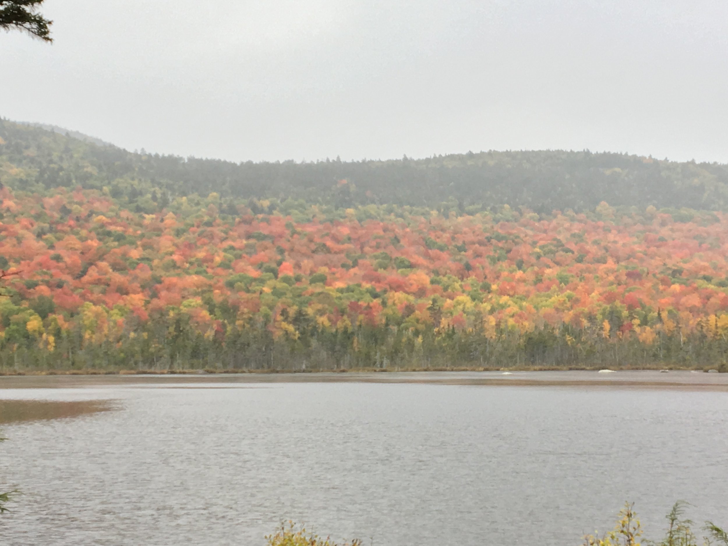 A river with a hill covered in colorful autumn trees in the background under an overcast sky.