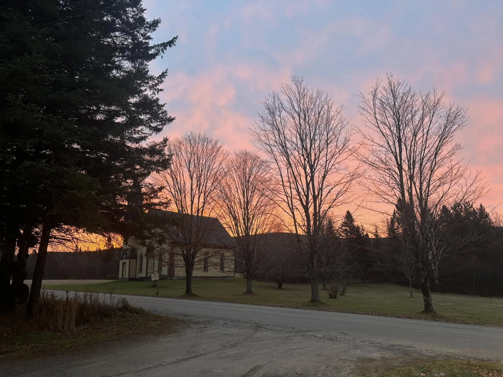 A sunset scene with colorful pink and blue clouds in the sky, silhouetted leafless trees and some evergreen trees, and a residential neighborhood with houses.