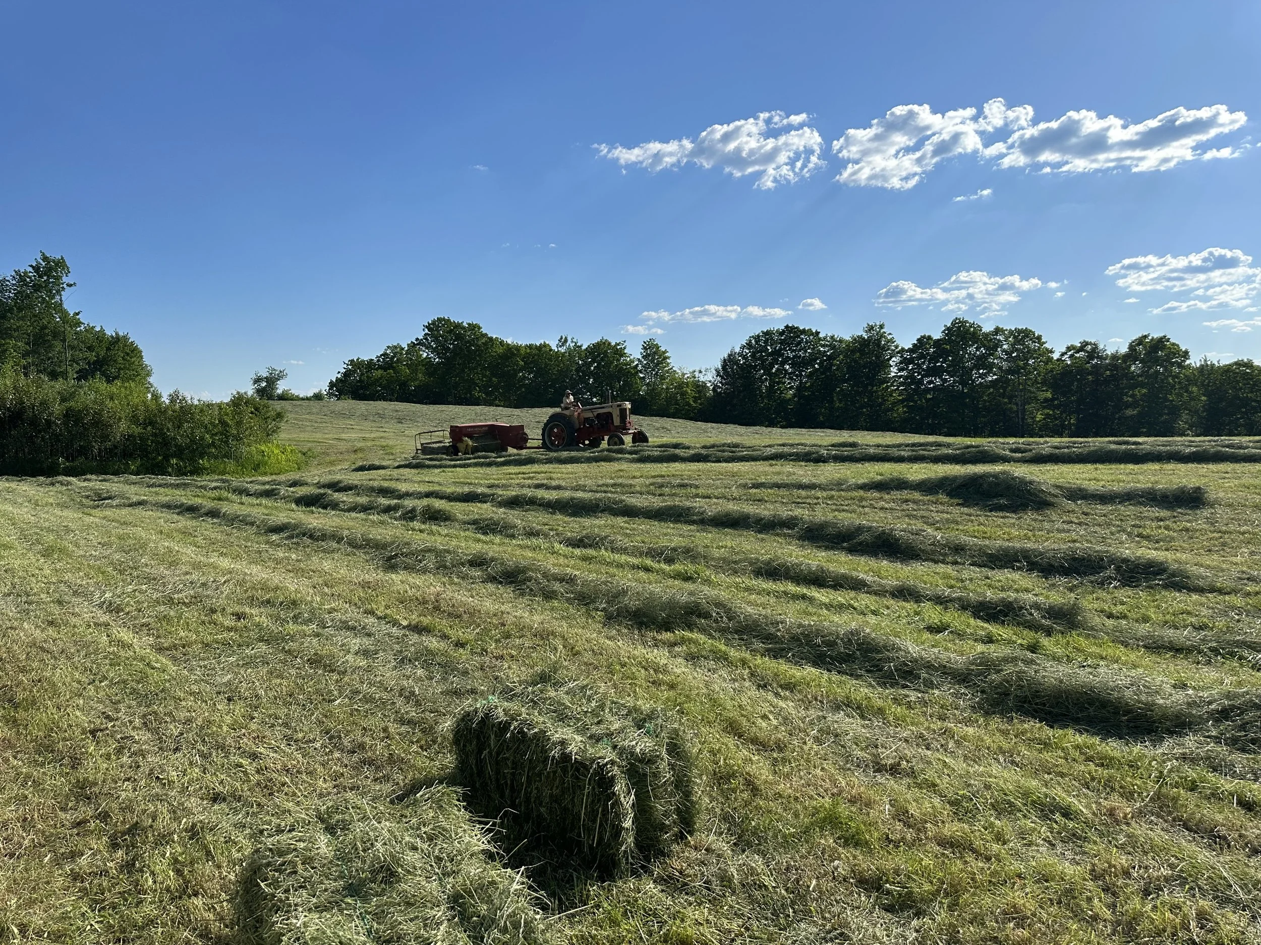 A tractor mowing a field of grass under a blue sky with some clouds.