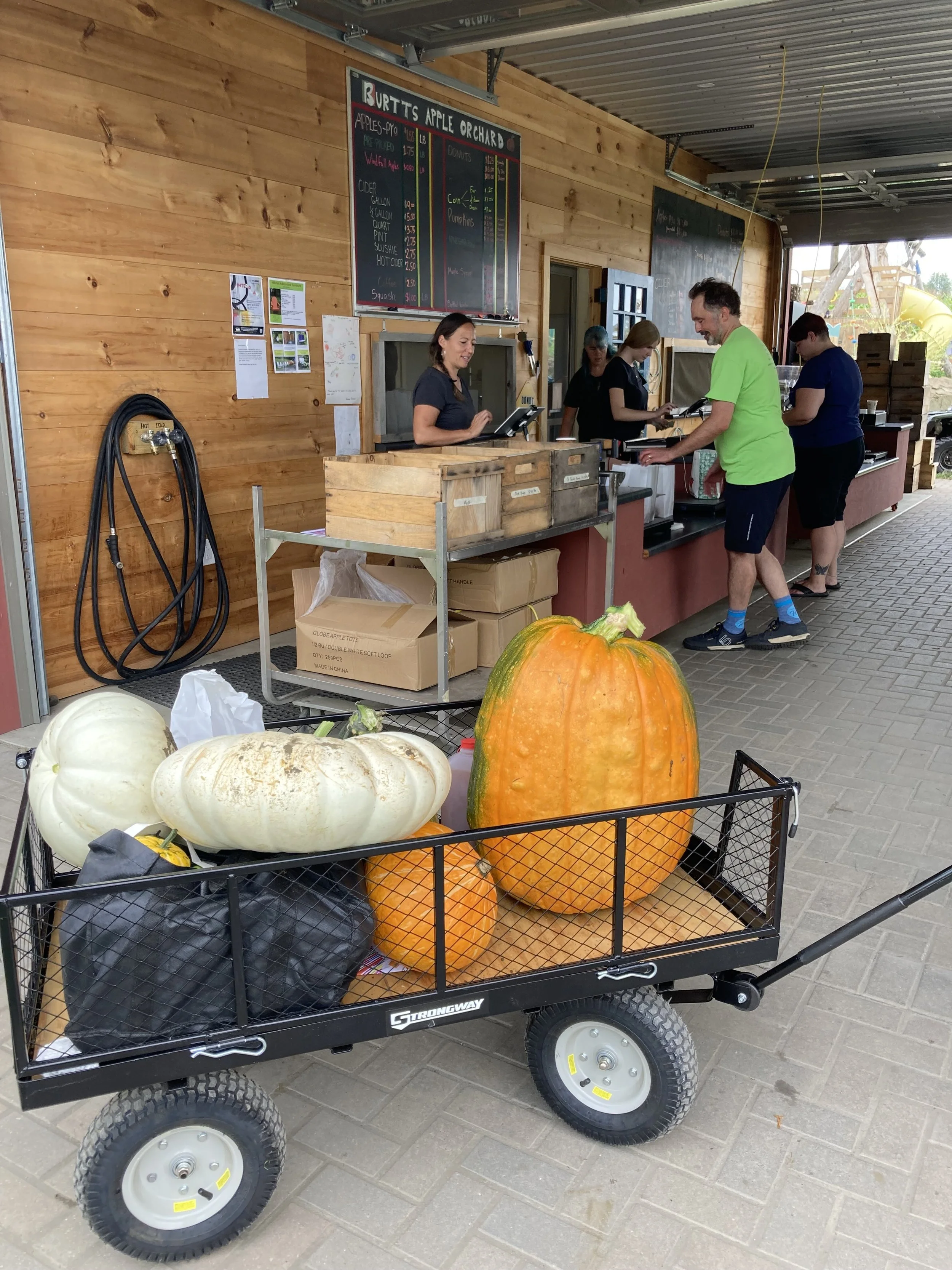 Large white and orange gourds in a black cart outside a building with a wooden wall, café counter, and people working or shopping.