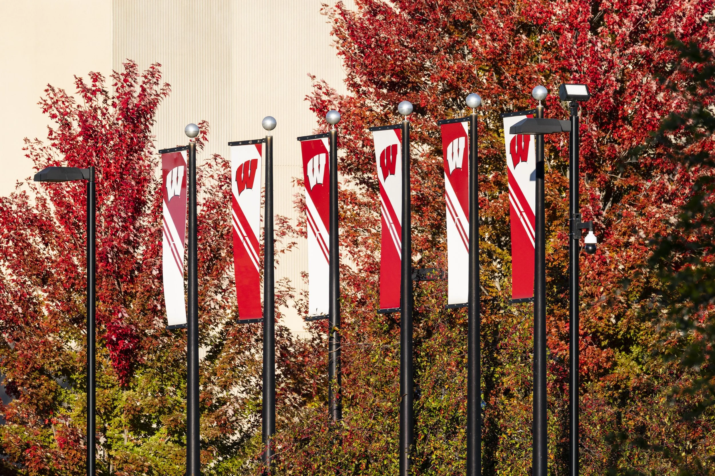 USF banners on flagpoles in front of autumn-colored trees.