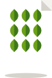 Green catering menu at Verde for pdf download