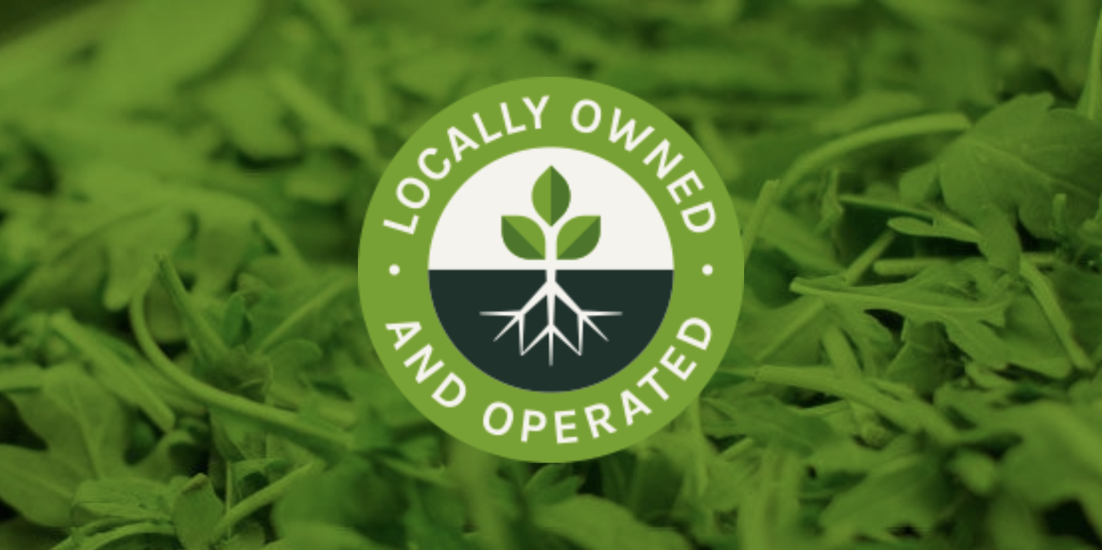 Locally Owned & Operated Verde: Bringing Fresh & Healthy Food to Charleston SC
