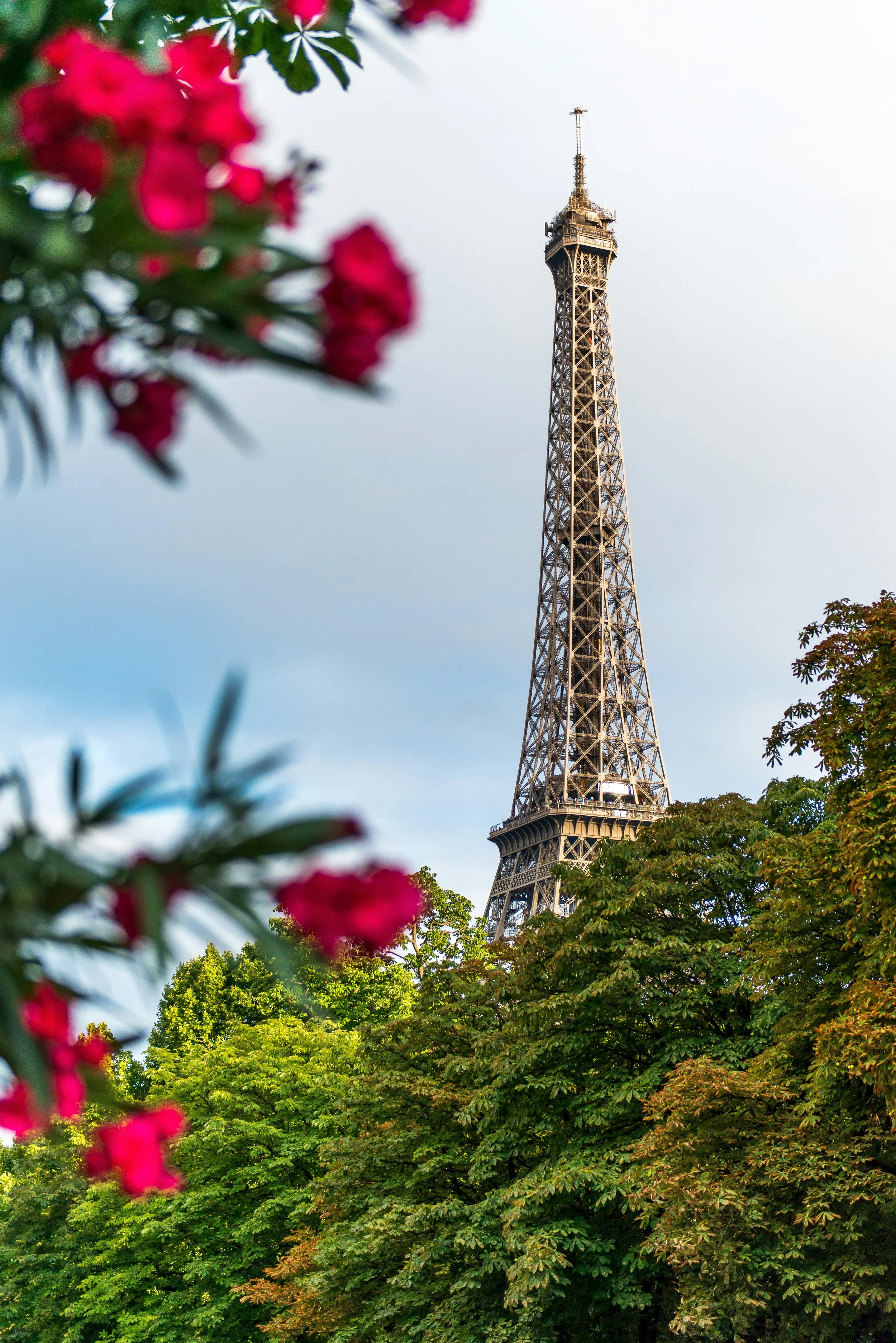 The Eiffel Tower is seen through a lush green forest with pink flowers in the foreground and a partly cloudy sky in the background.