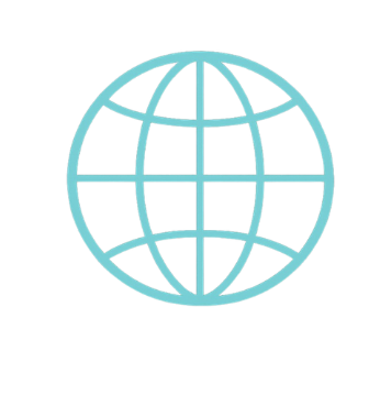 Light blue globe icon with longitude and latitude lines on a black background.