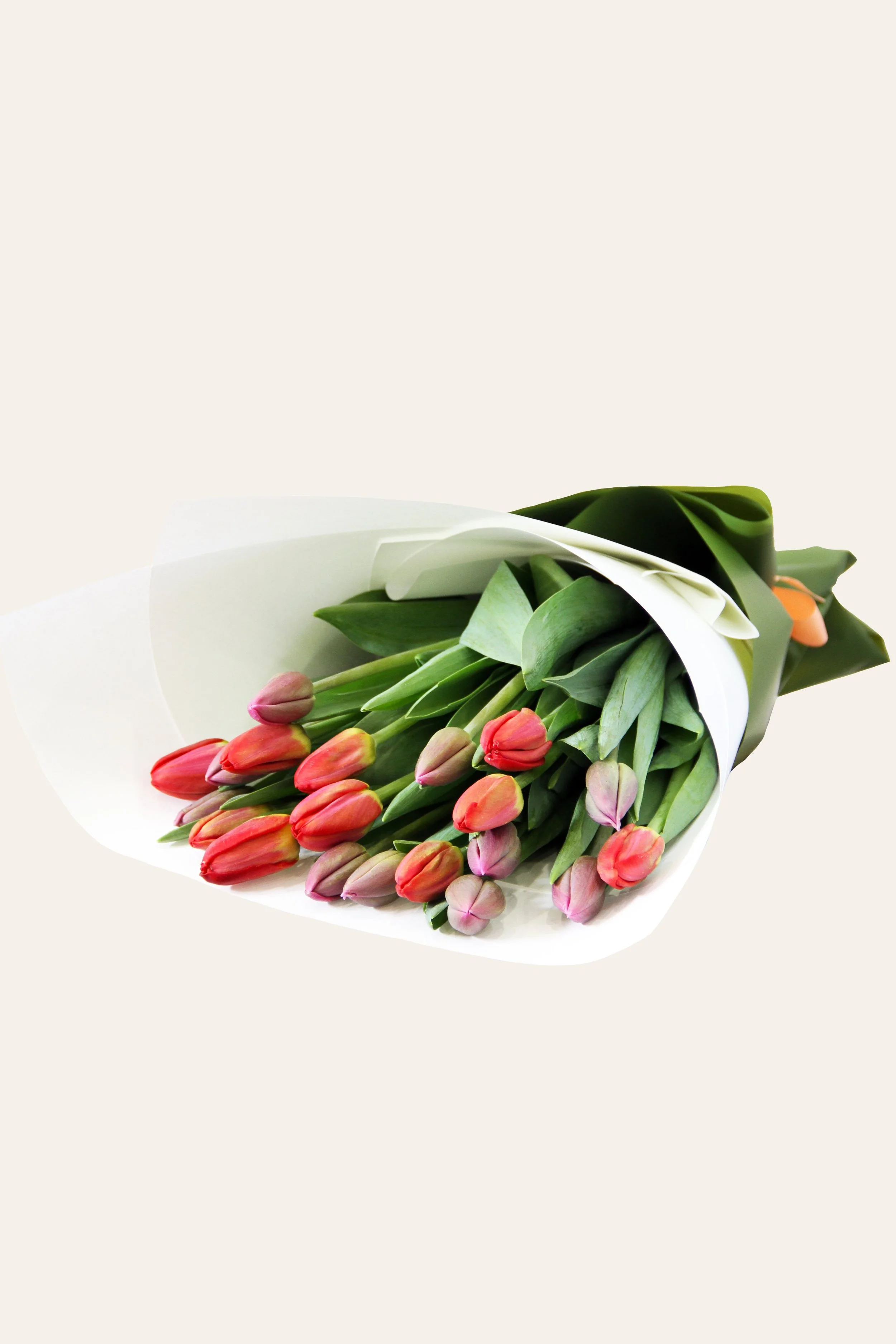 Tulip Wrap.jpg
