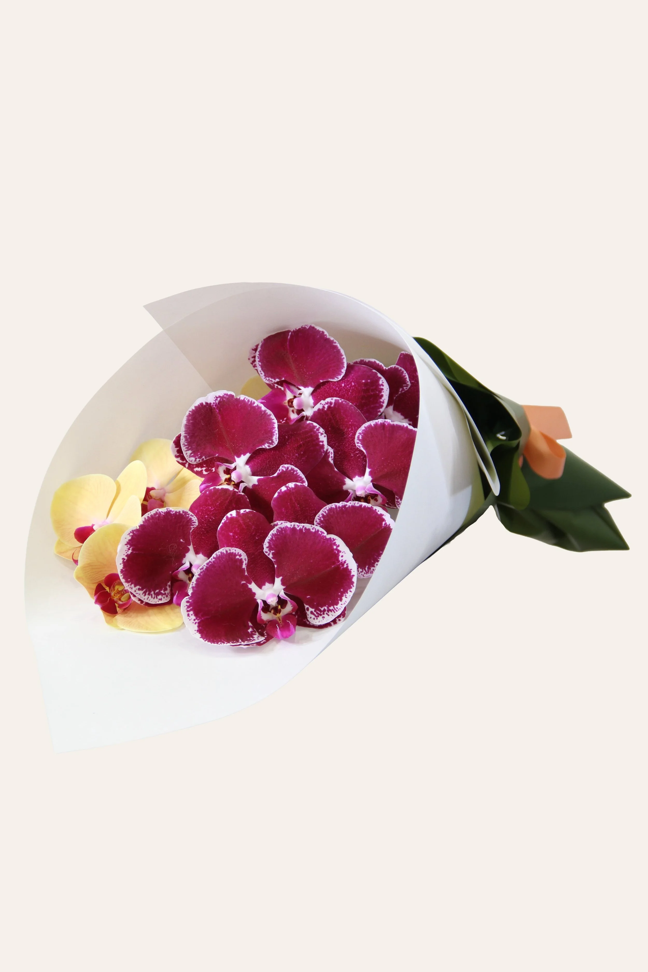 The Orchid Cascade