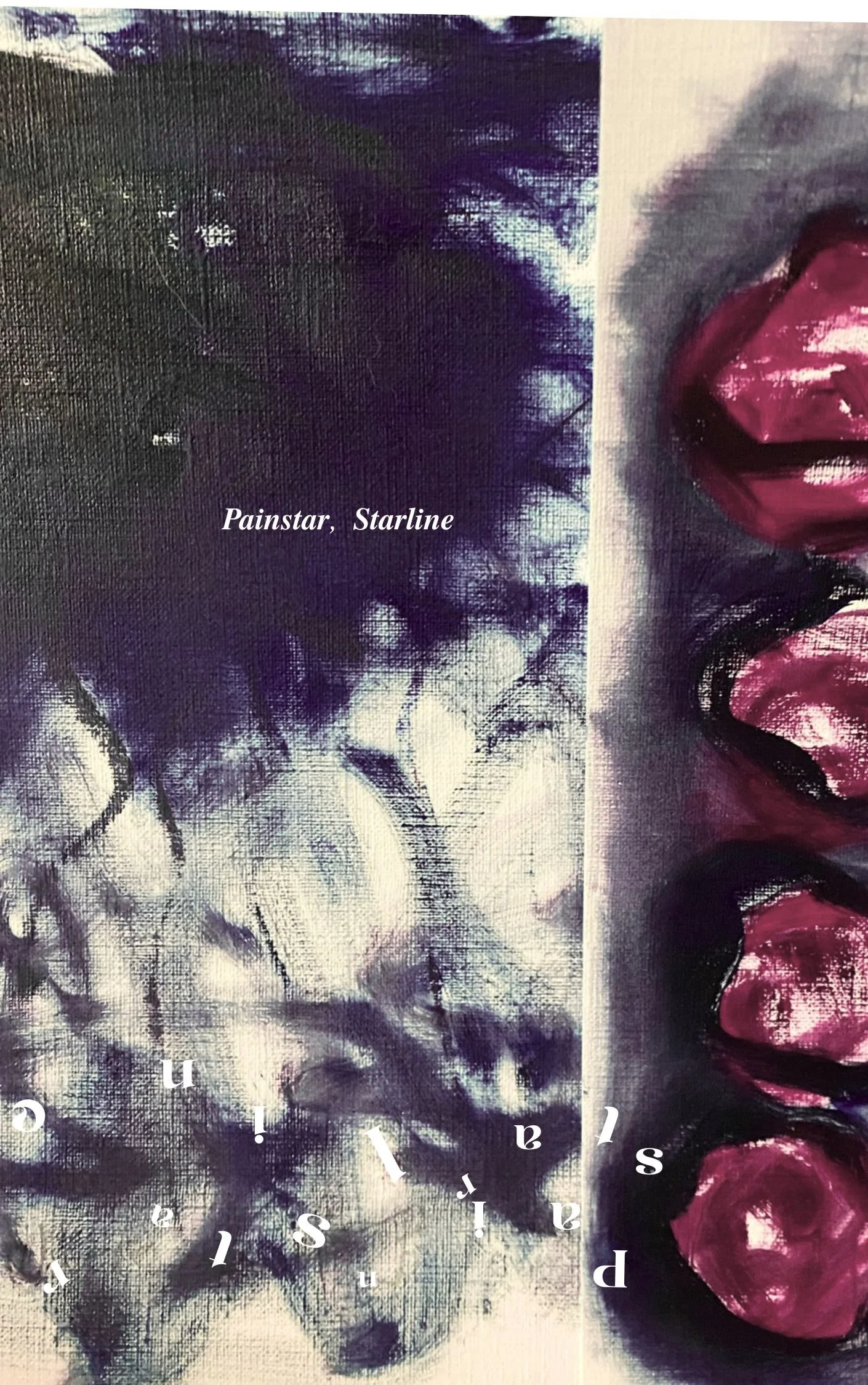 A Painting on Paper by Deborah Alexander with text overlay that says 'Painstar, Starline'.