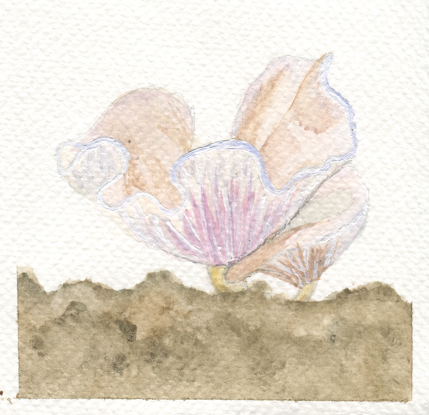 img194.png