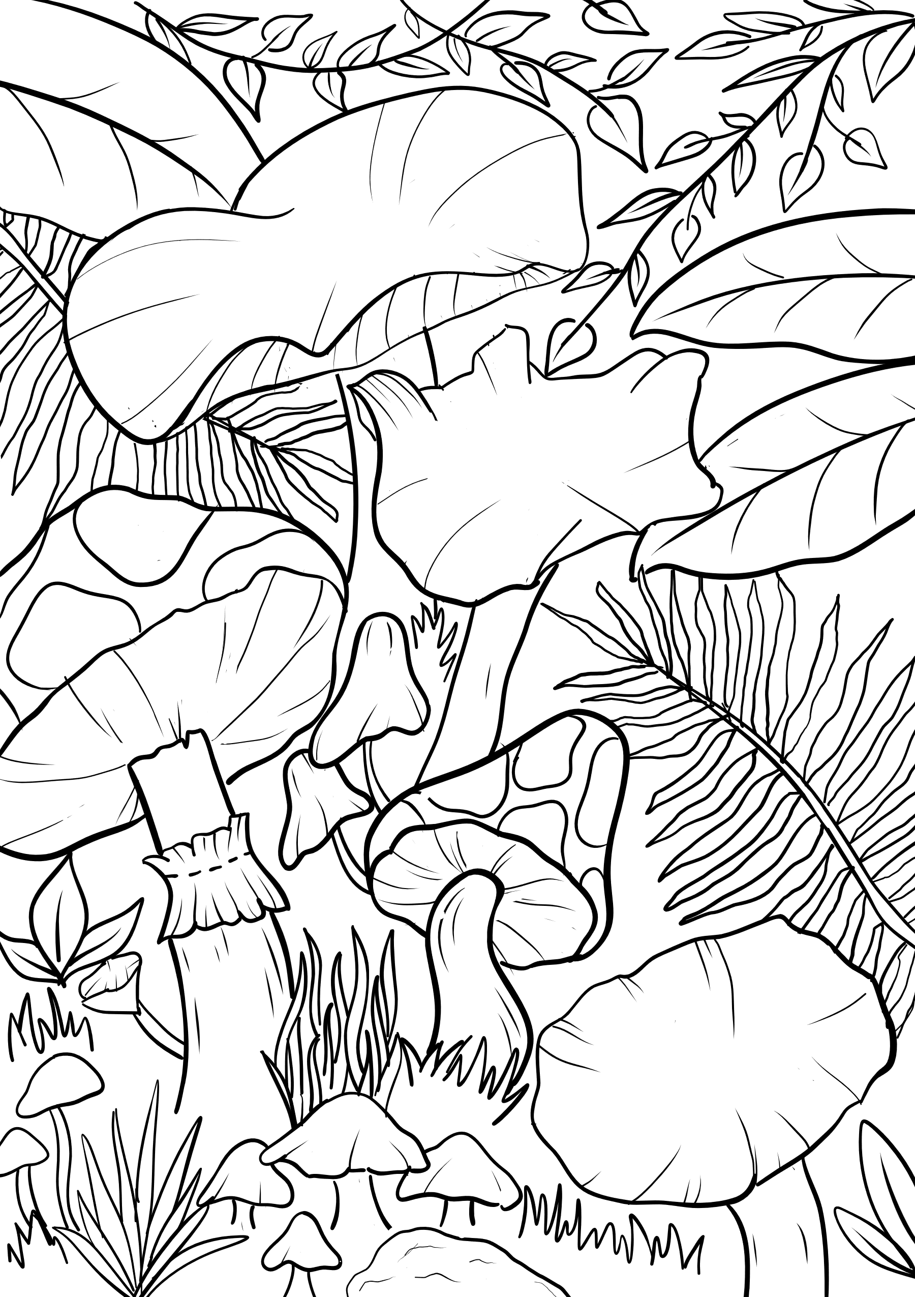 black linework of west coast rainforest mushrooms found in Pacific Rim National Park. The mushrooms are the focus and surrounded by coastal flora and fauna native to the Ucluelet and Tofino area