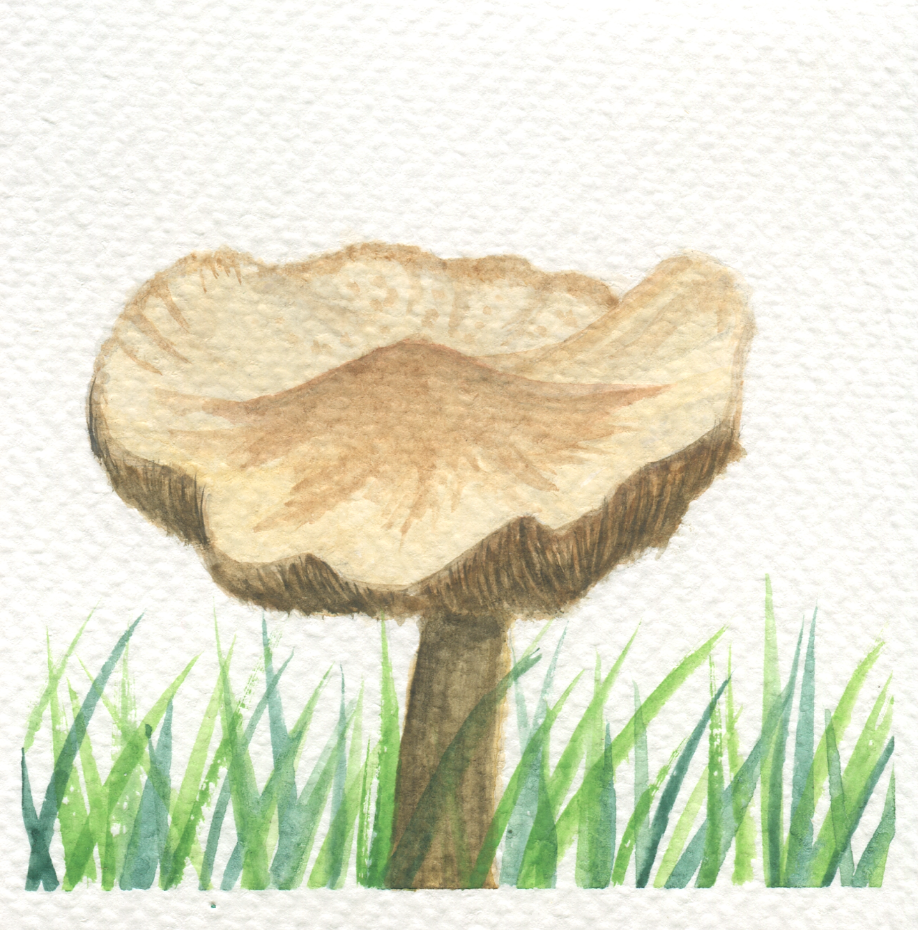 img193.png