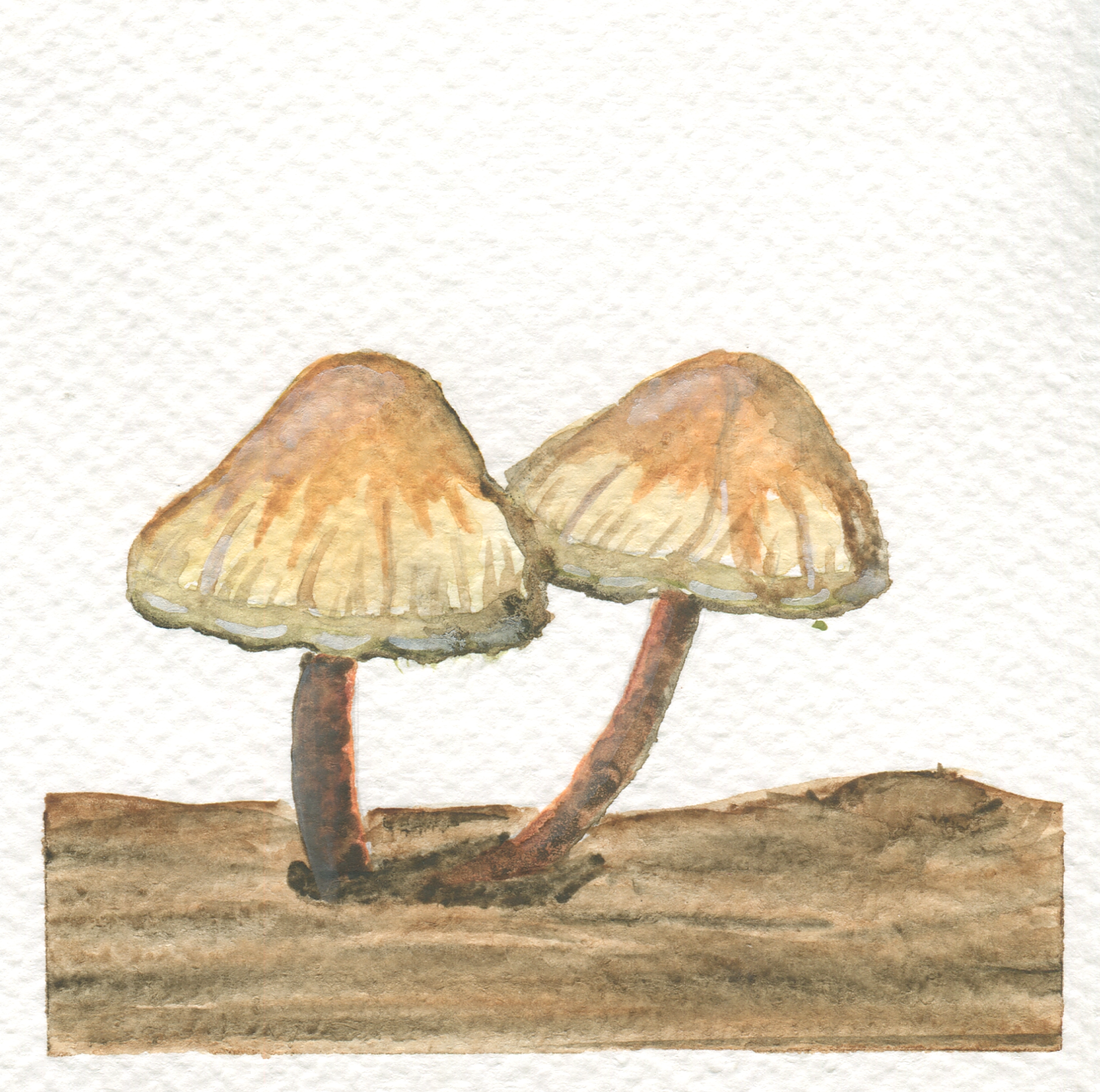 img195.png