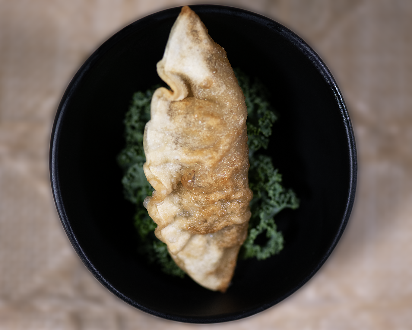 Gyoza_KIOSK FILE_8.9.26.png