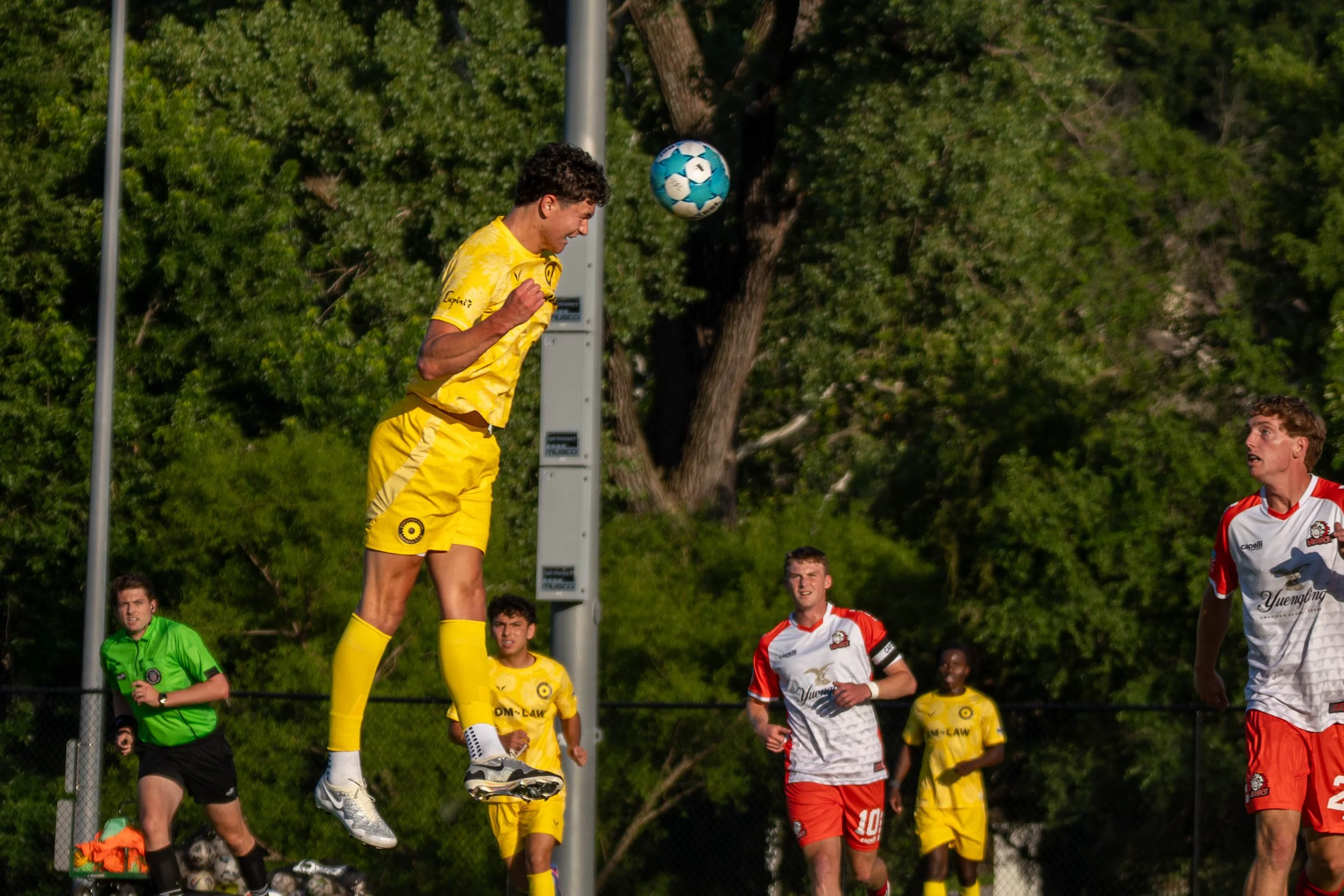 Sunflower state levels season series with des moines menace 