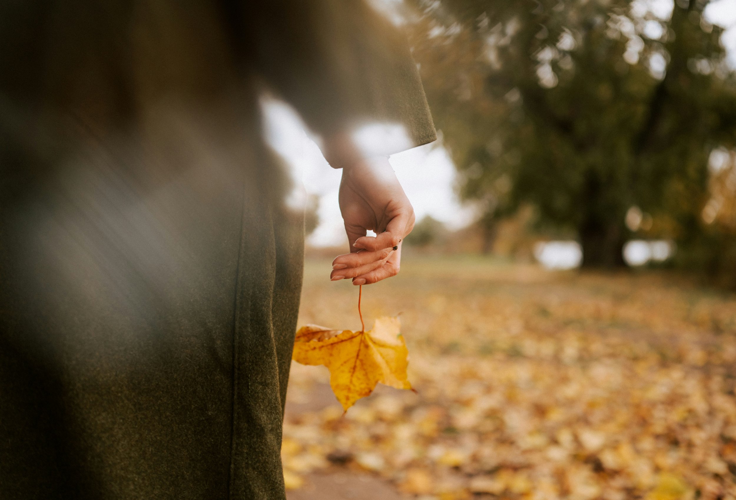 Person holding a yellow autumn leaf in their hand outdoors in a park with fallen leaves.