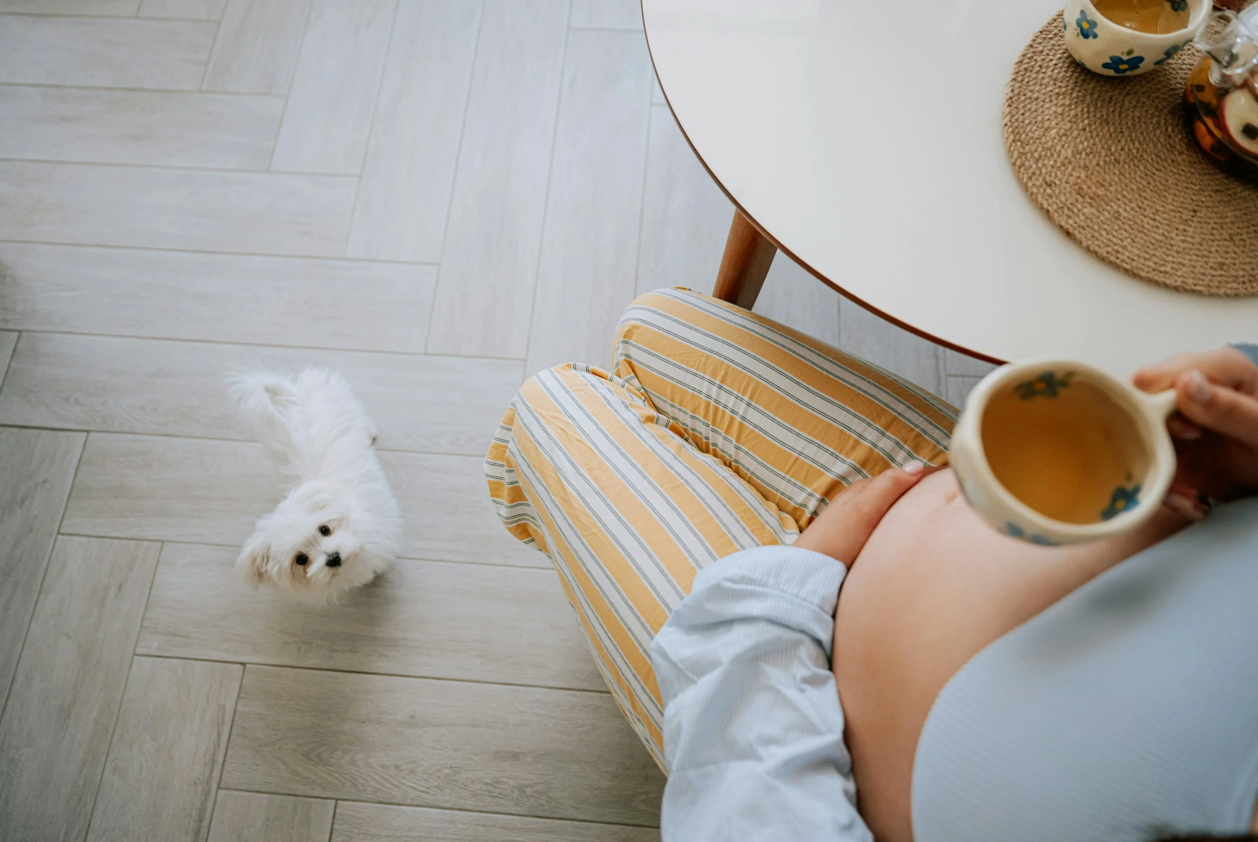 Person sitting at a table holding a floral patterned mug of coffee, wearing yellow and white striped pants and a light blue top. Two small white puppies are looking up at the person, and a third puppy is lying on the floor nearby. The table has a woven placemat and another mug of coffee.