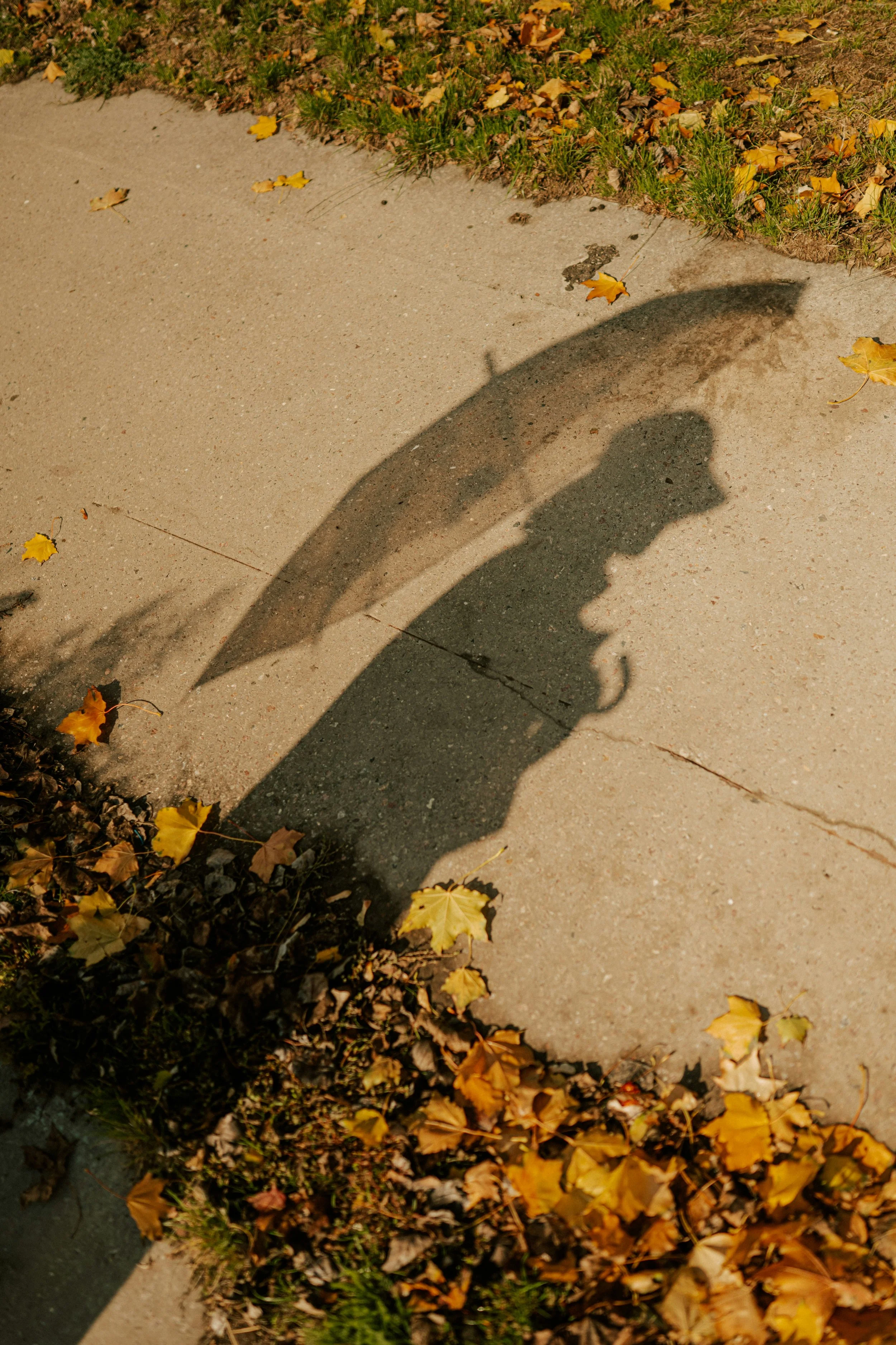 Shadow of a person holding an umbrella cast on a sidewalk with fallen yellow and brown leaves and grass.