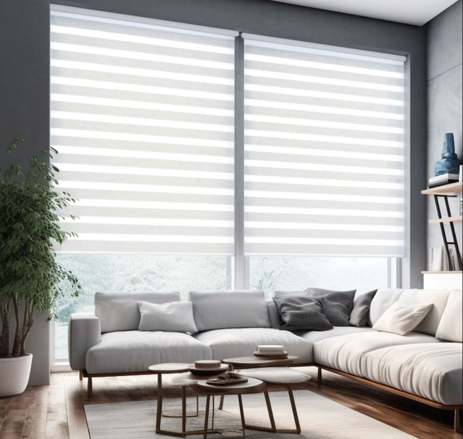Zebra Blinds
