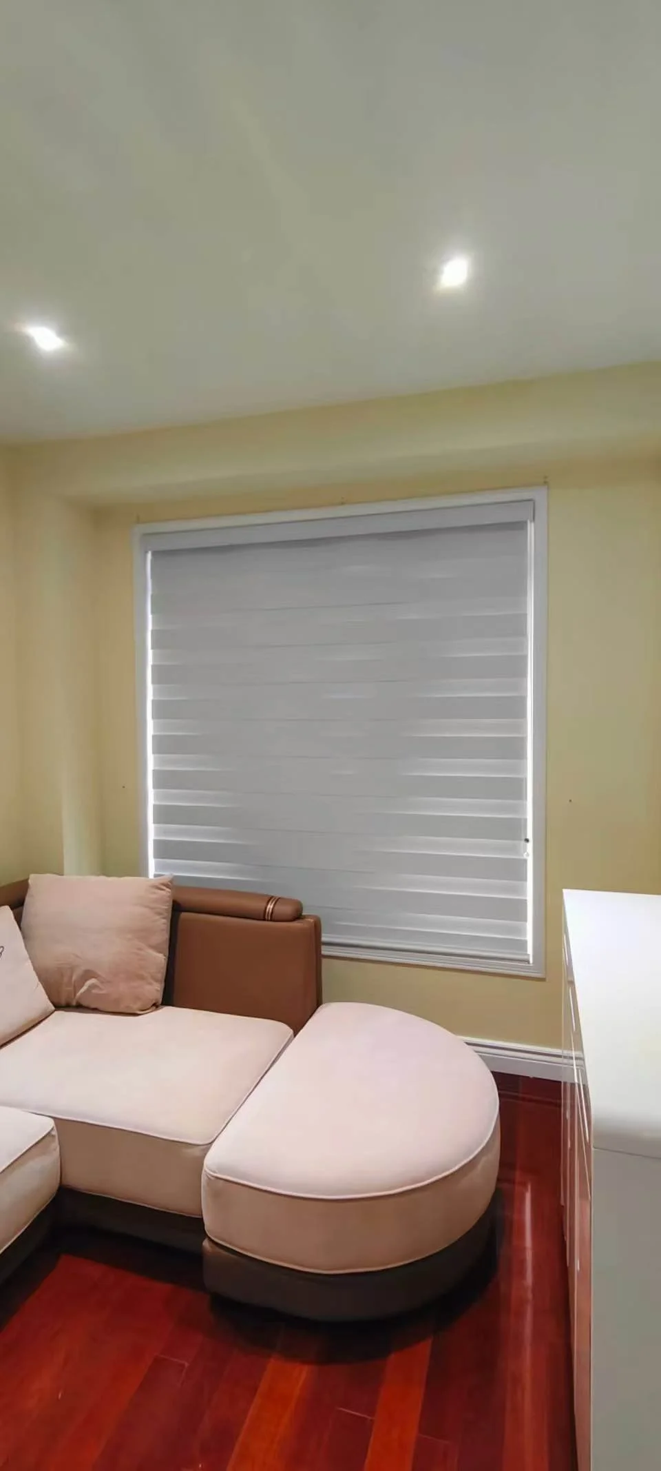 Zebra Blinds- Blackout-DA Series