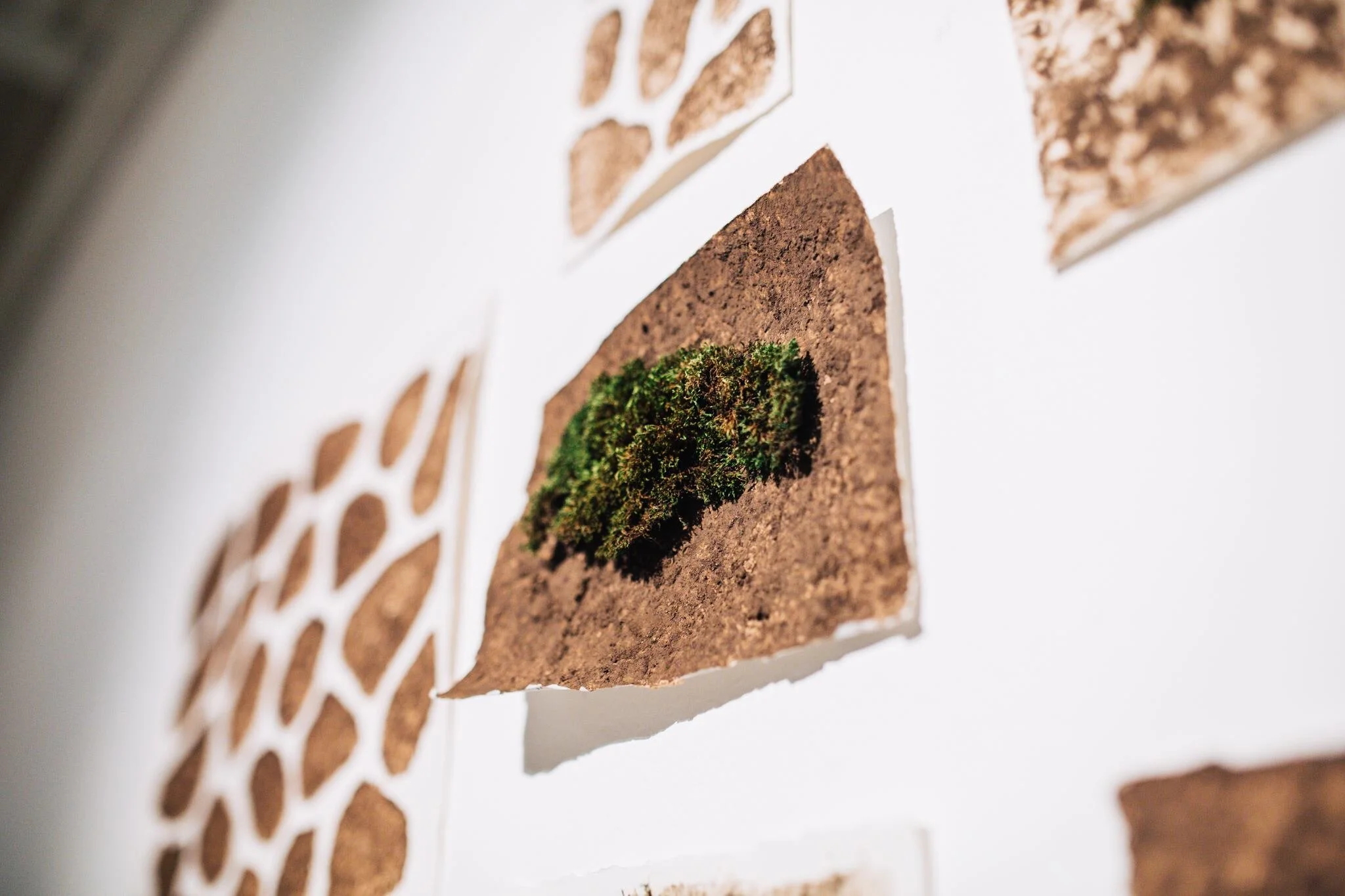 Tactile Nature, 2017, Teri Bartolo, First Site Gallery, Melbourne, Australia, moss and soil on paper