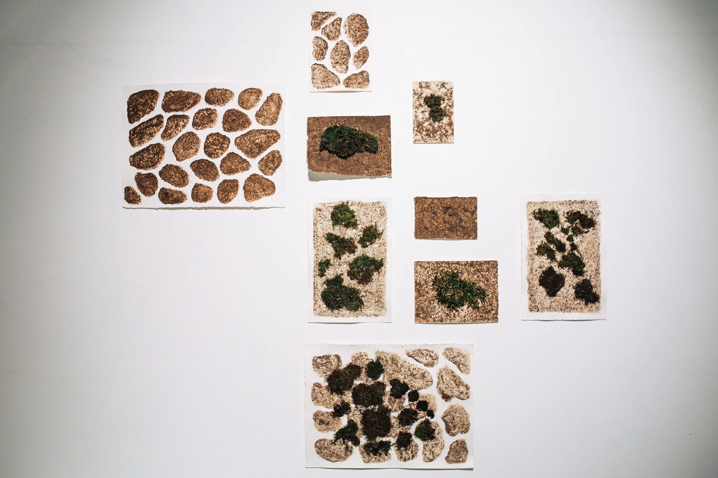 Tactile Nature, 2017, Teri Bartolo, First Site Gallery, Melbourne, Australia, moss and soil on paper 