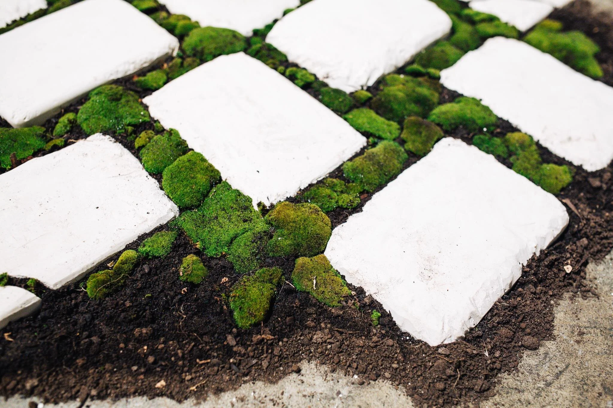 Bricks, 2017, Teri Bartolo, First Site Gallery, Melbourne, Australia, moss, soil and plaster