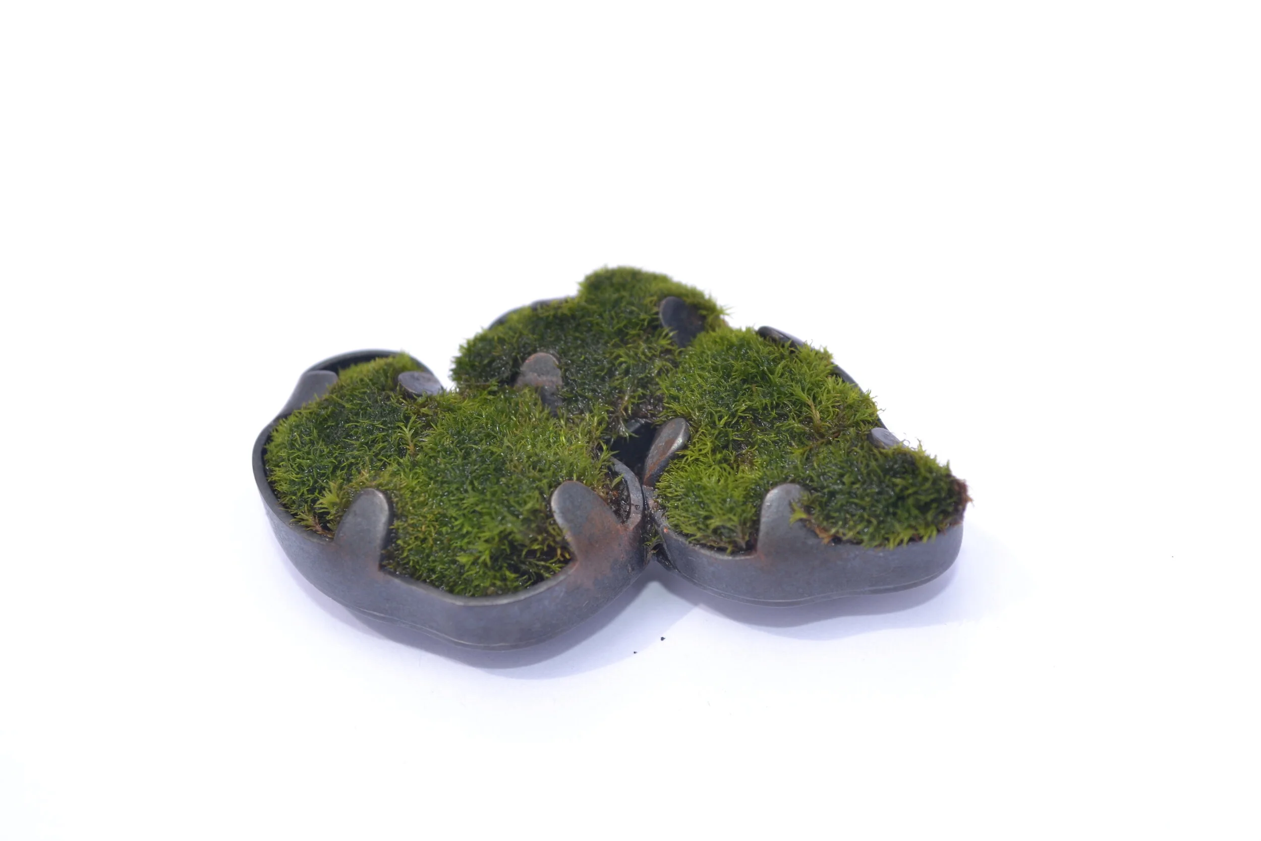 Moss Brooch, 2019, Plexus: Diploma of Jewellery and Object Design Graduate Exhibition, Melbourne Polytechnic, Fairfield Campus, Australia
