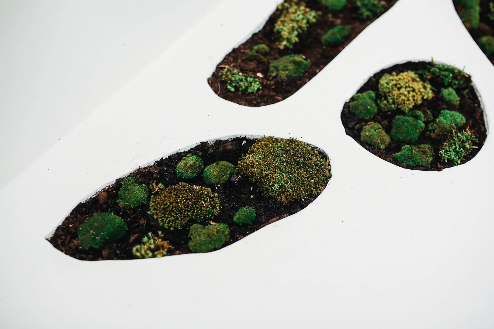 A room of dialogue between nature and urbanisation, 2017, RMIT University Graduate Show, Melbourne, AustraliaMoss, pine and plywood240cm x 120cm x 200cm