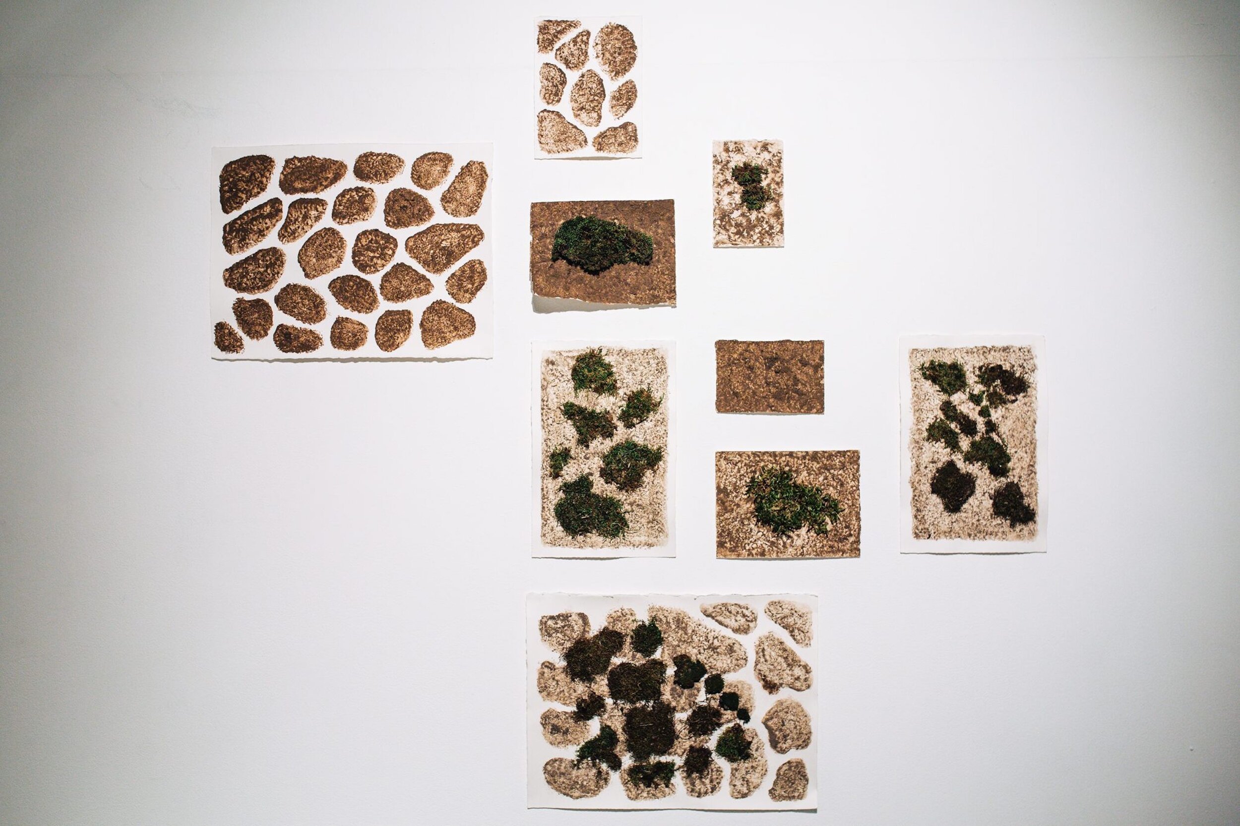 Tactile Nature, 2017, Presence: A Series of Sensory Formations, First Site Gallery, Melbourne, Australia Moss and soil on paper