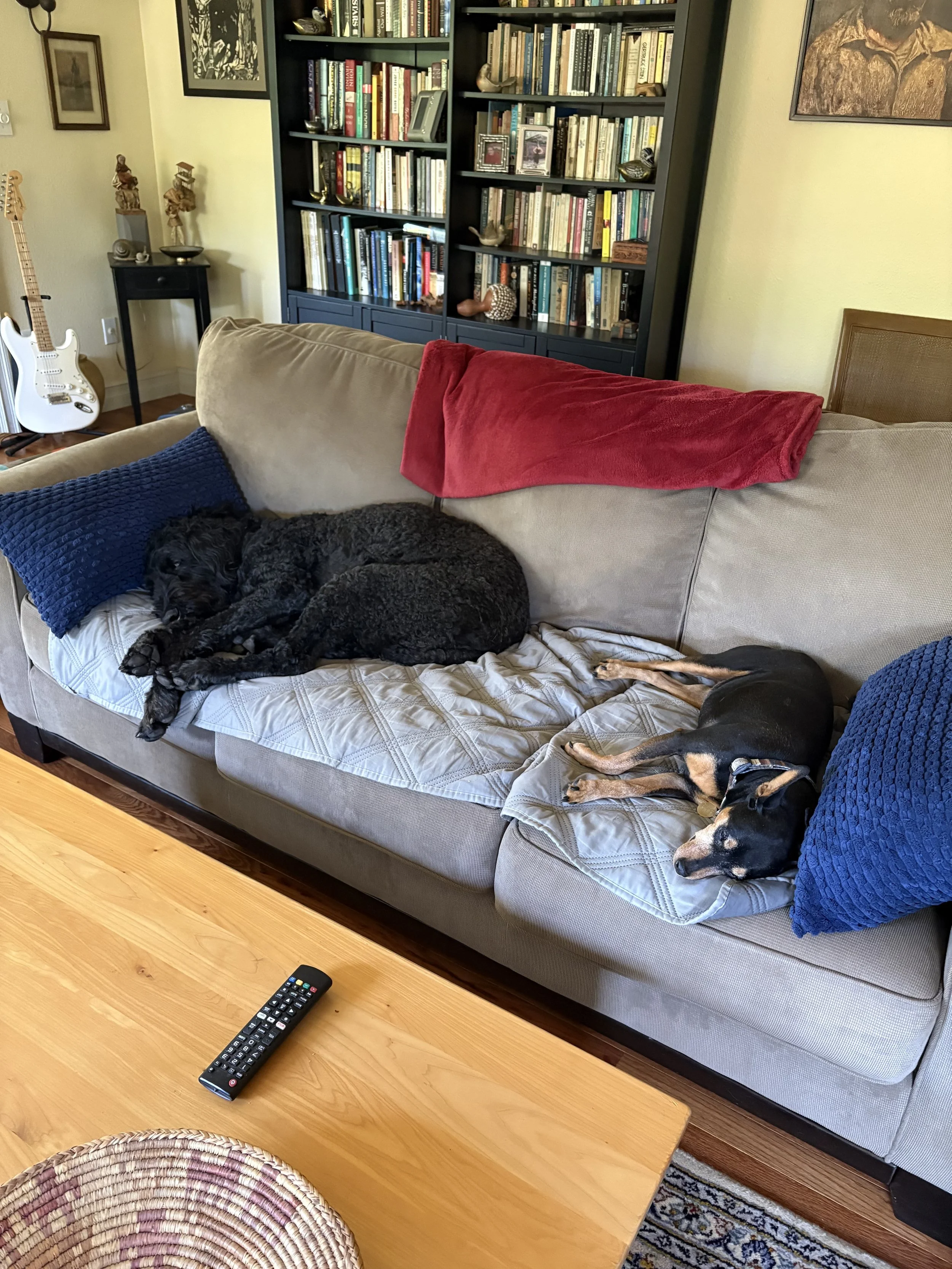 IMG_0661(1).jpeg