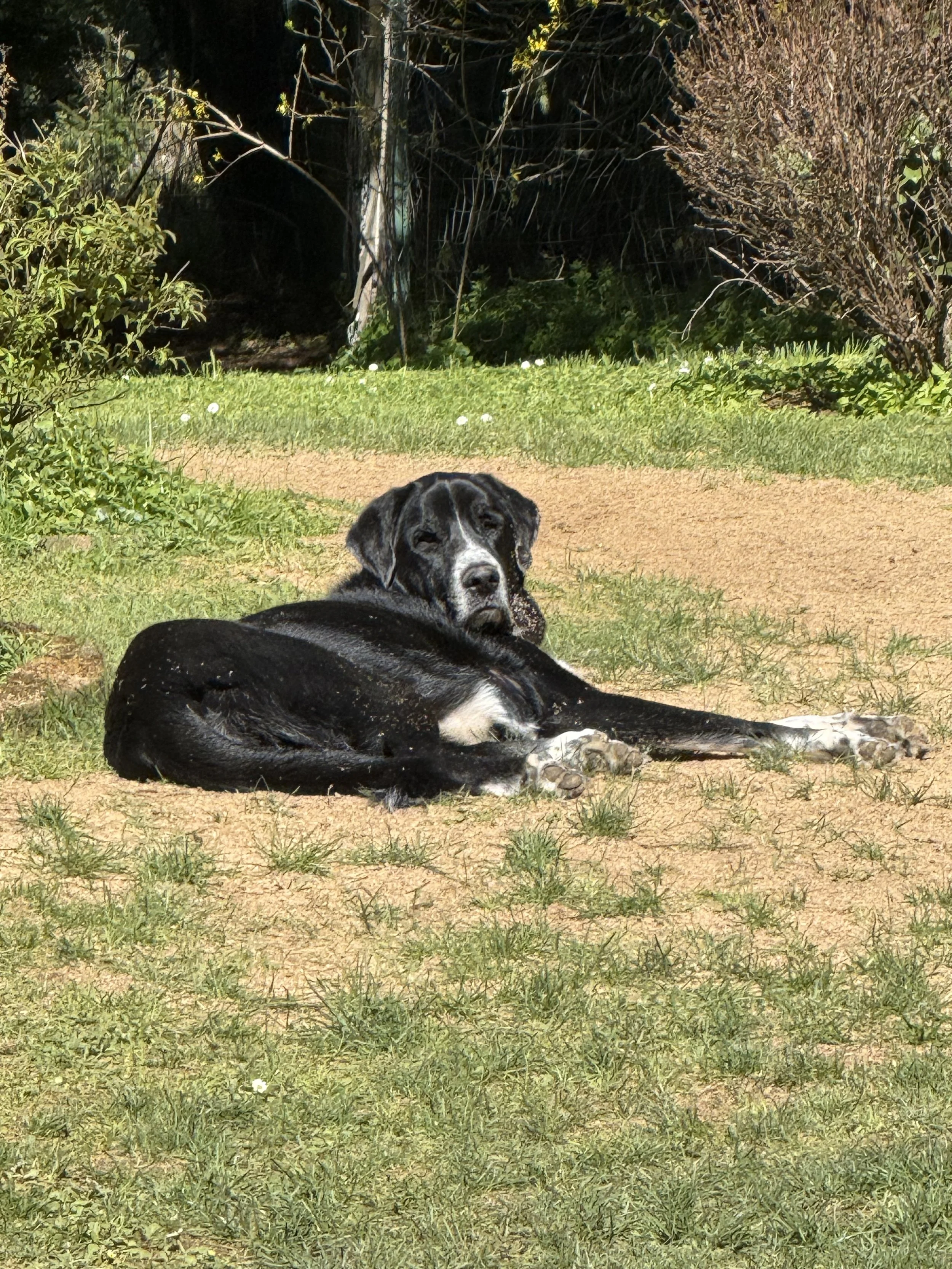 IMG_8332.jpeg