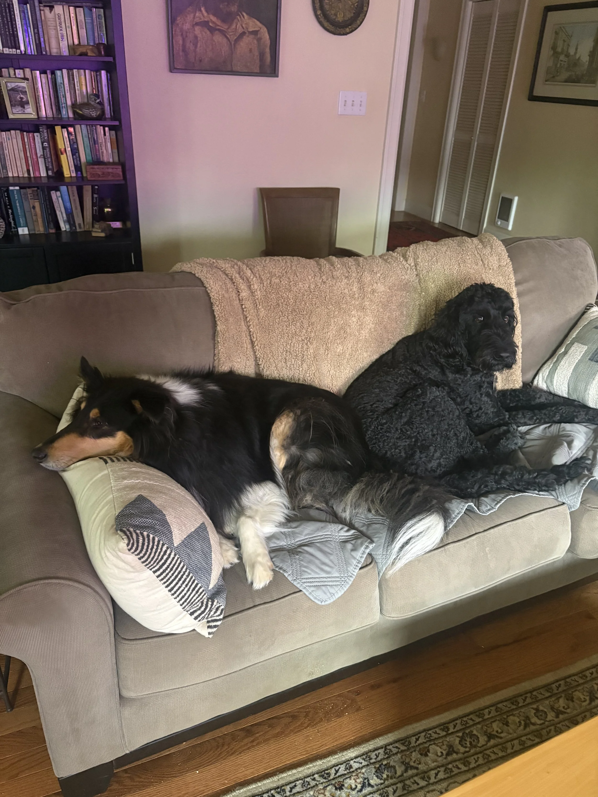 IMG_0530.jpeg