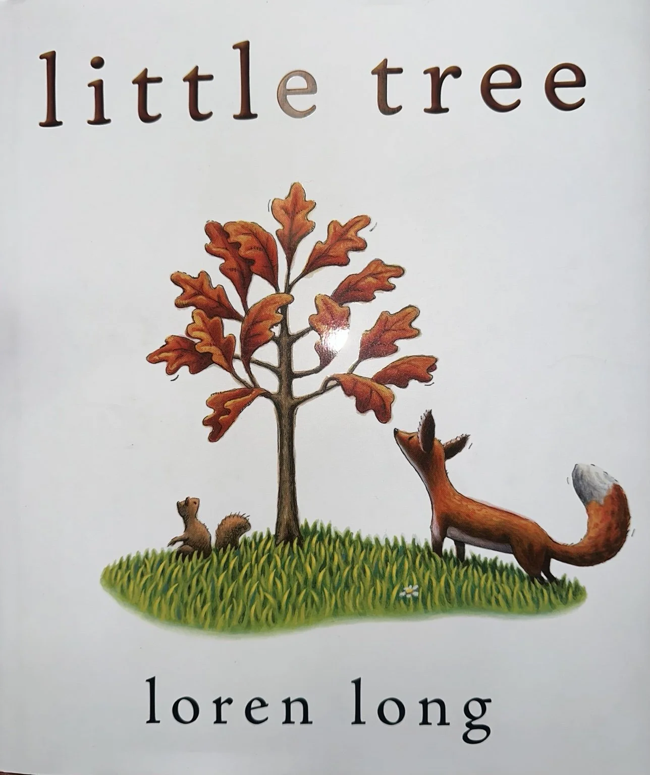 little tree