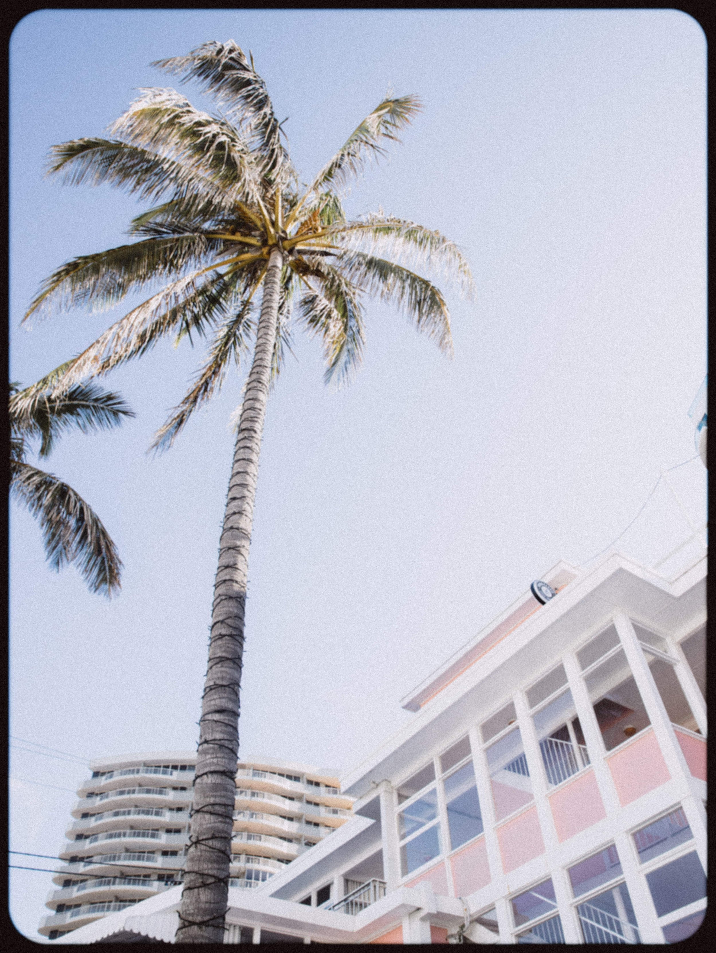 ALOHA-SHOOT-1.jpg