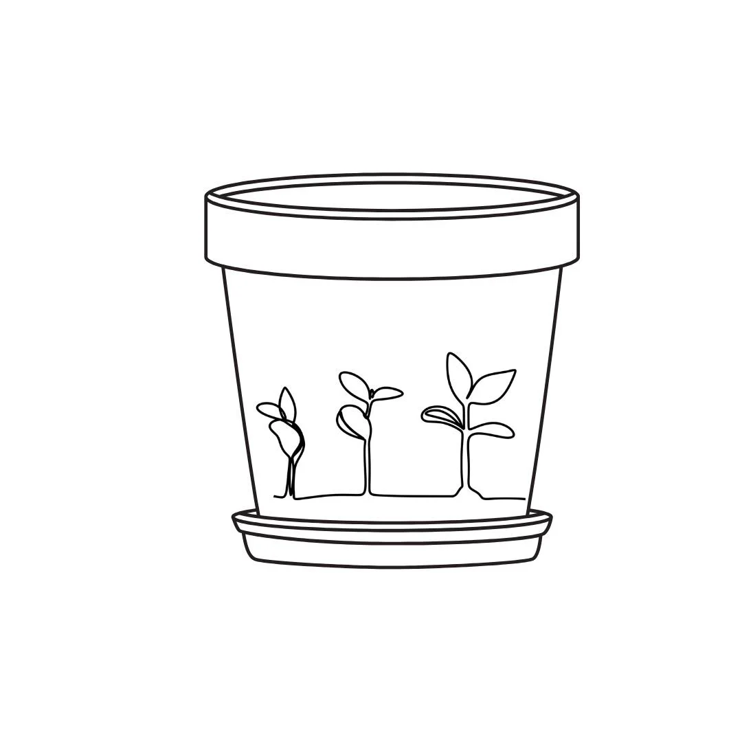 pot plant sip & paint townsville