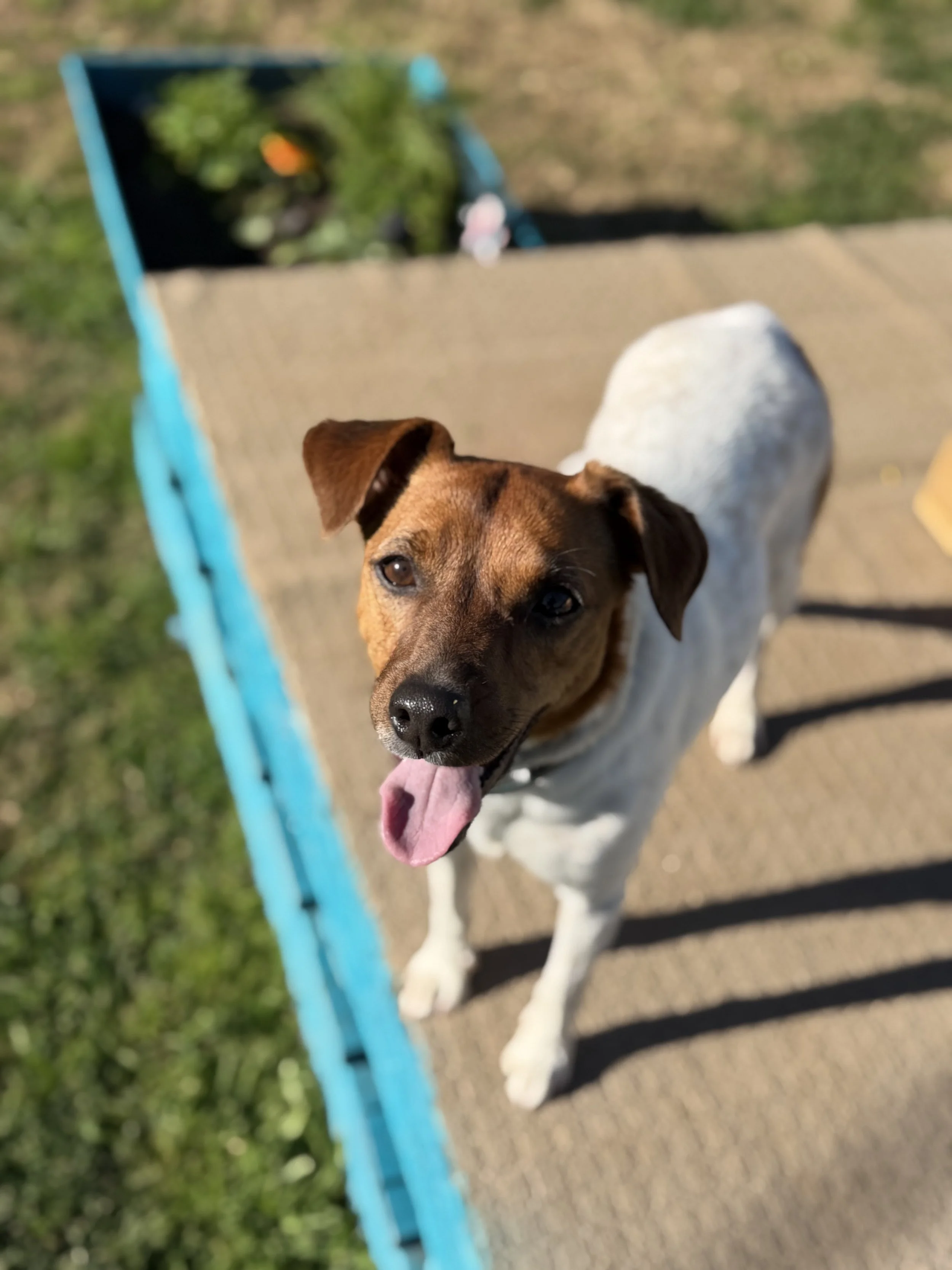 IMG_3357.jpeg