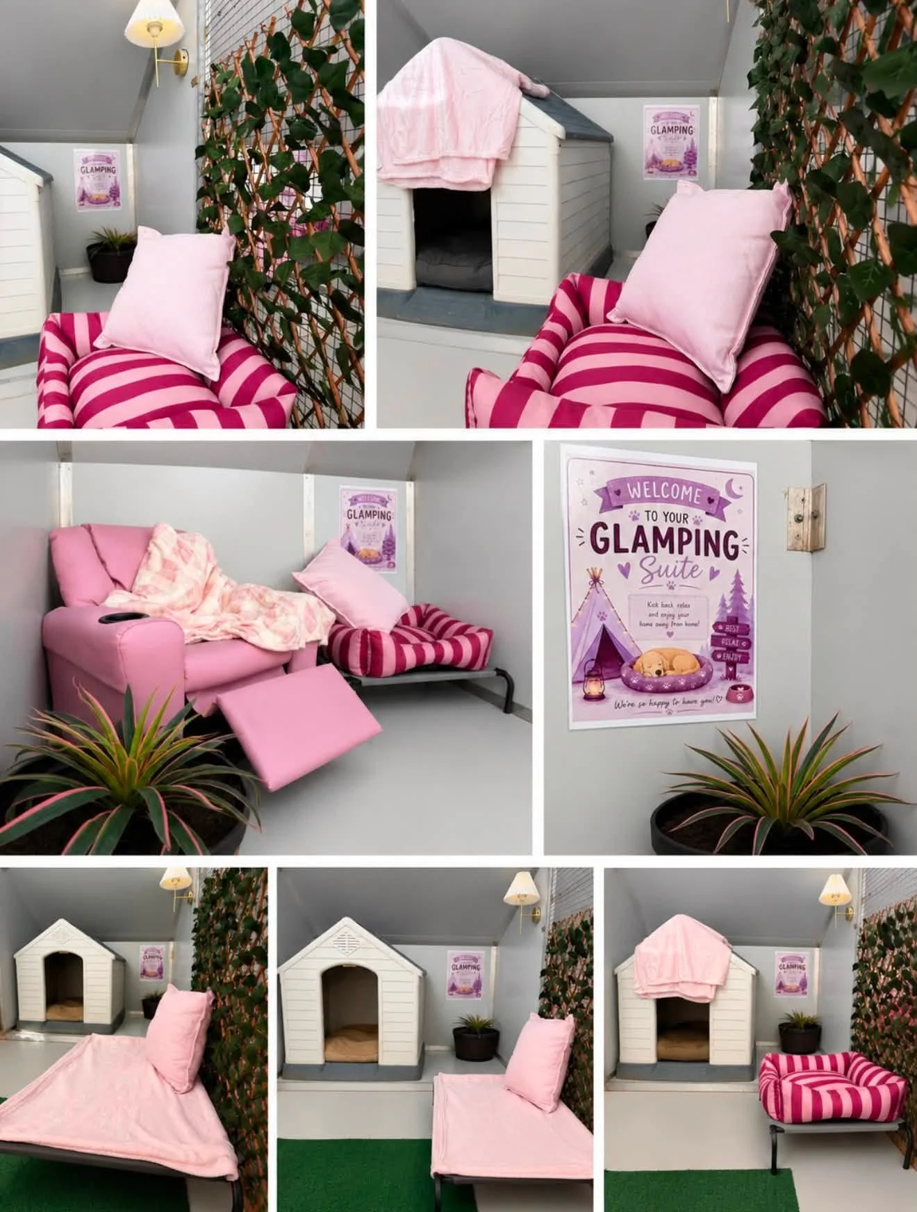 Collage of a cozy indoor pet shelter with small houses, pink and striped pet beds, and signs welcoming to the 'Glamping' suite for pets. The space features plants, pink blankets, and a variety of pet furniture.