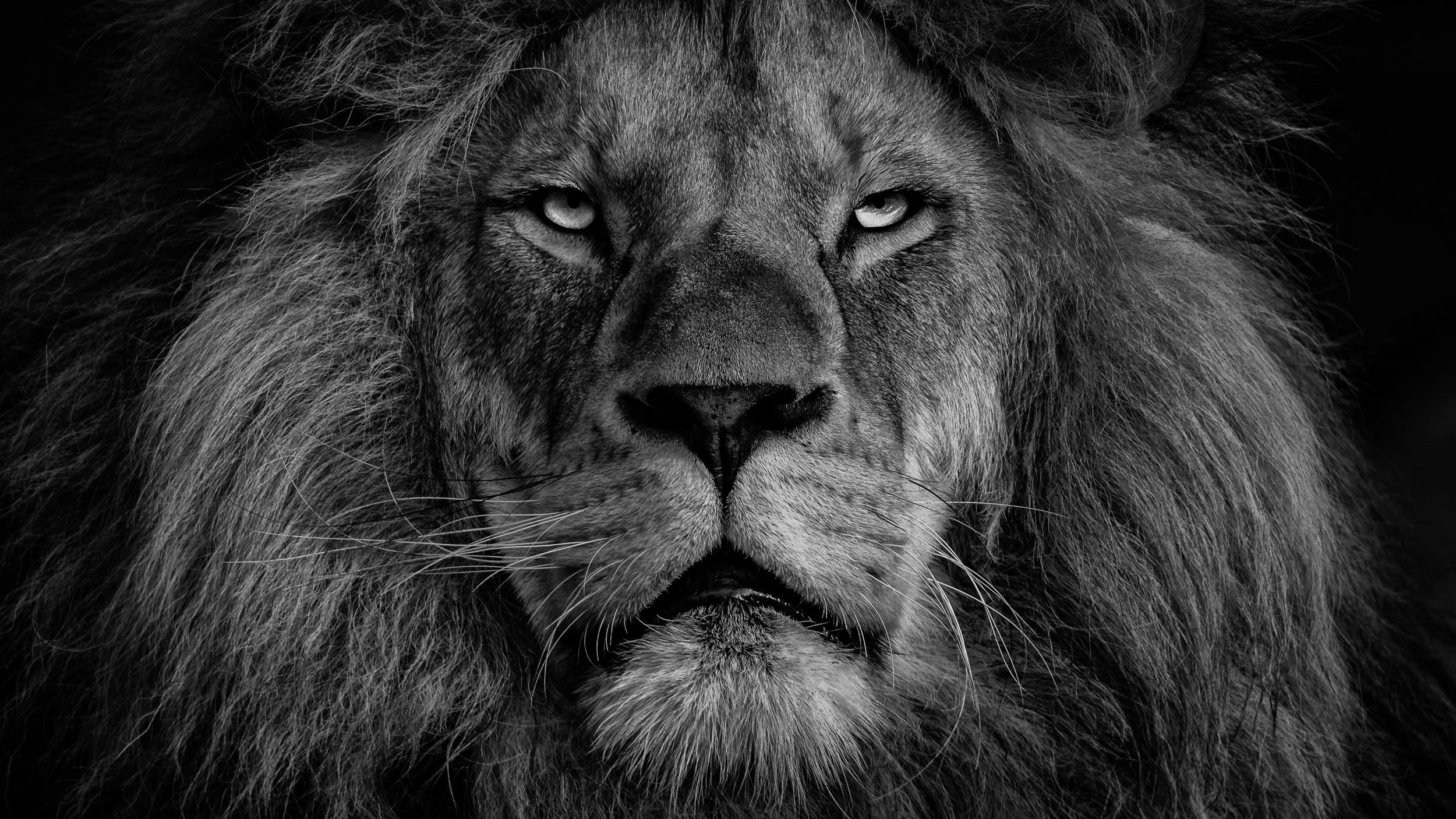 The Lion’s Gate Portal: Origins of a New Age Myth