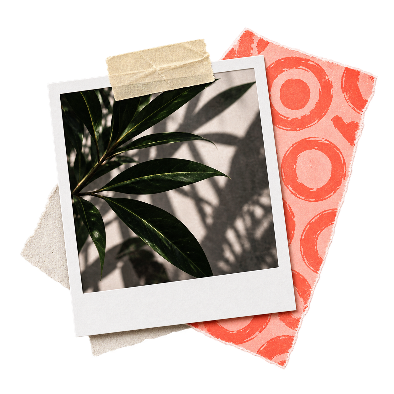 poloroid images with greenery plants and orange background