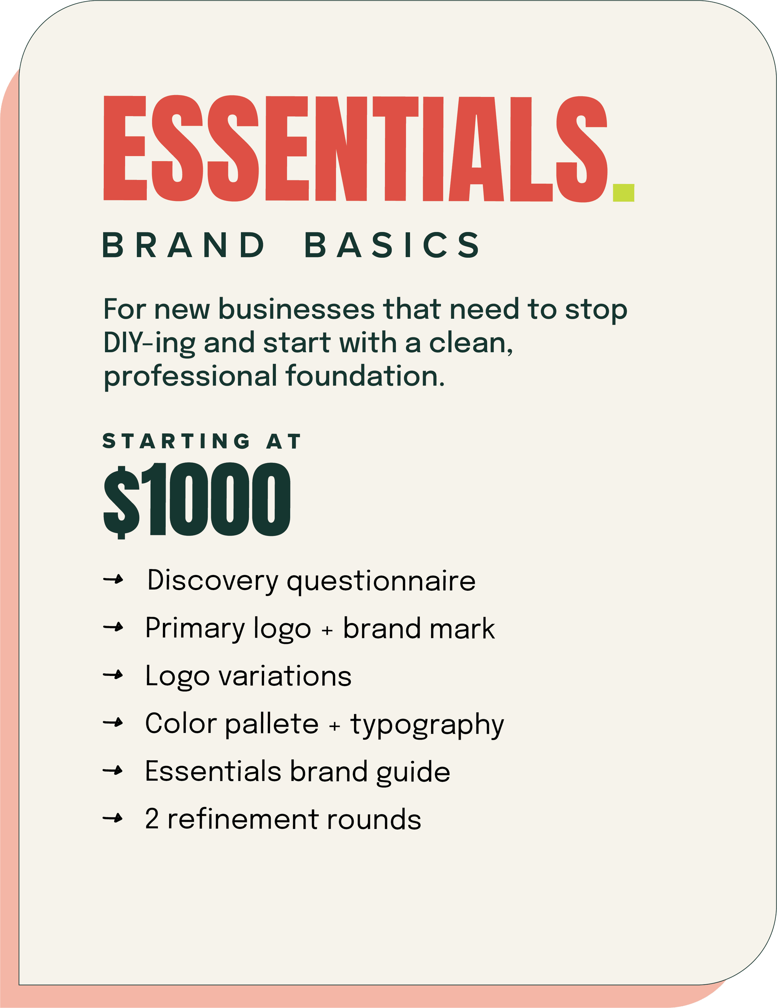 essentials brand package $1000 for new businesses just the basics