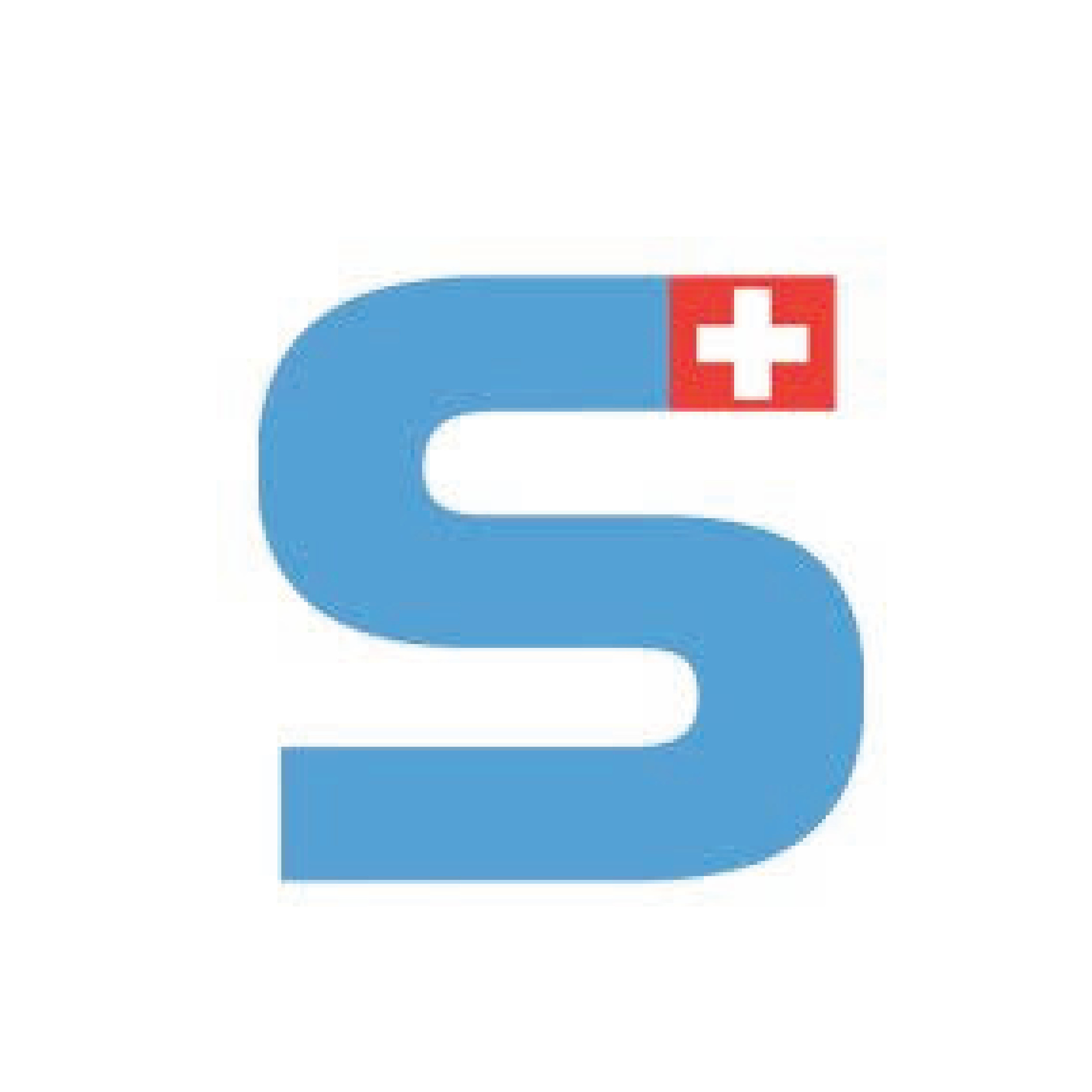 Sportfisio Logosymbol, ein blaues S mit einer kleinen Schweizer Flagge integriert