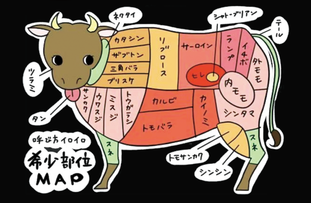 牛の肉の部位を示したイラストマップ。各部分に日本語の名前が書かれている。