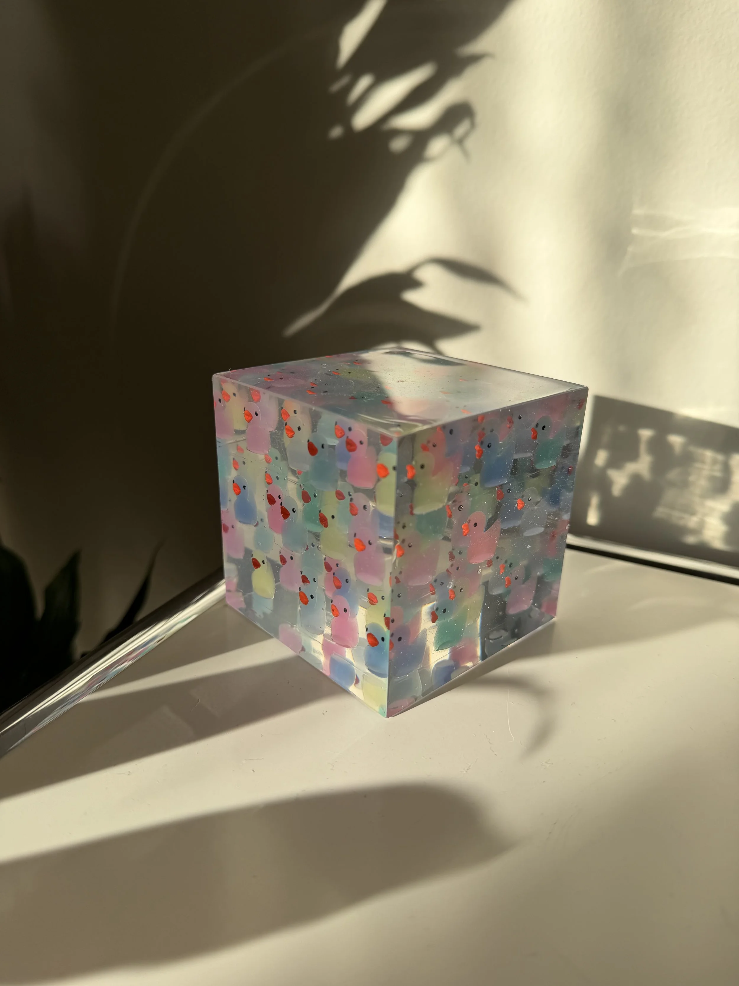 The Duck Cube
